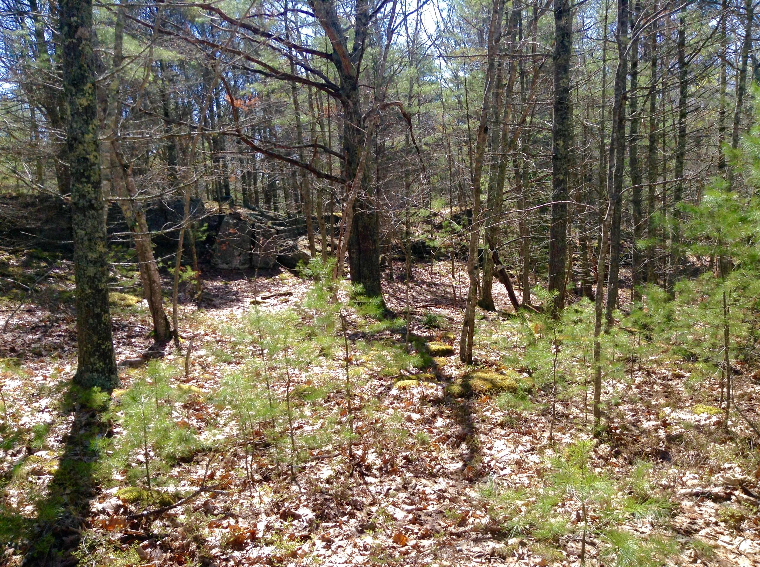 5 Narrows Way Georgetown, ME 04548 - Photo 15 of 29 Rural Private Area