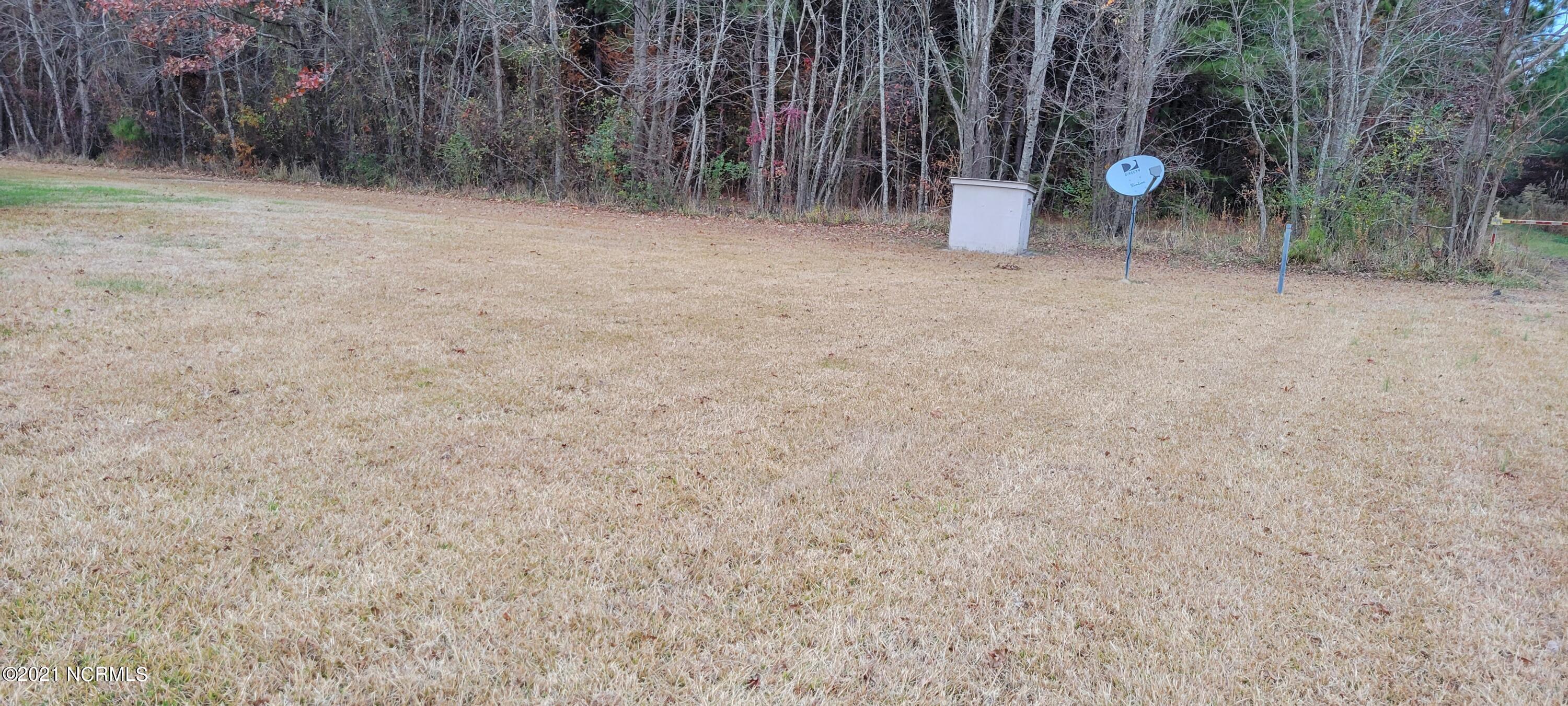 6170 Cherry Run Road Washington, NC 27889 - Photo 26 of 44 BACKYARD VIEW