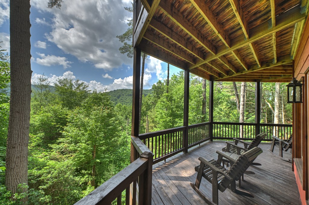 255 Indian Ridge Road Epworth, GA 30541 - Photo 50 of 65