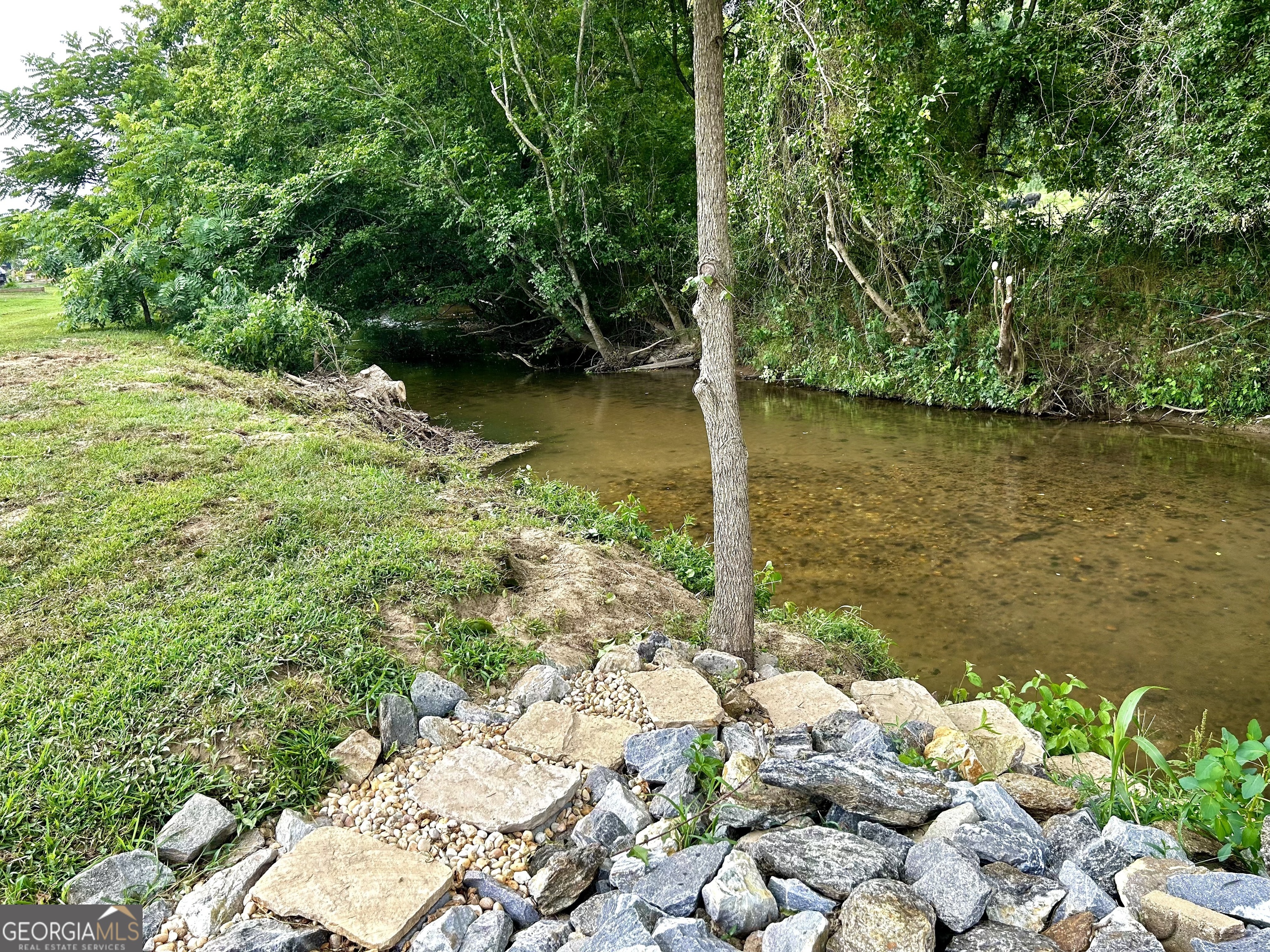 121 Mountain Meadows Morganton, GA 30560 - Photo 10 of 28 a view of a lake with lots of green space