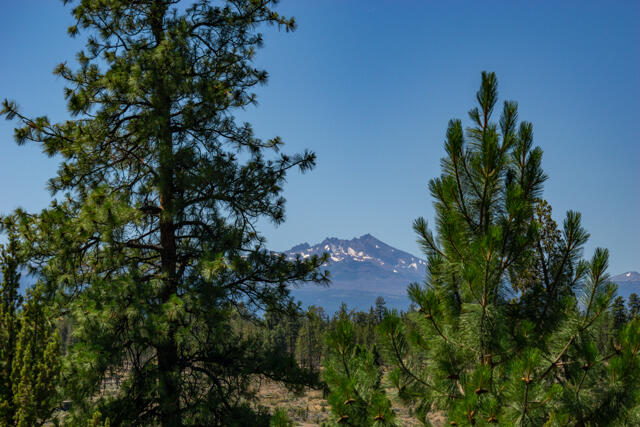 17475 Mountain View Road Sisters, OR 97759 - Photo 22 of 30 17475 Mountain View Road-22