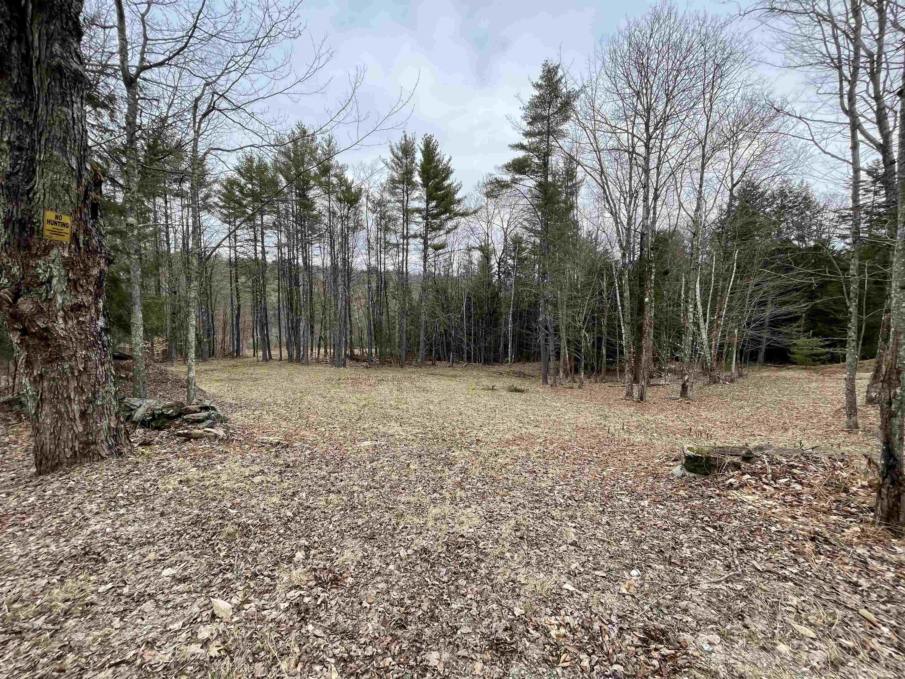 0 Turkey Shoot Road Acworth, NH 03601 - Photo 1 of 19