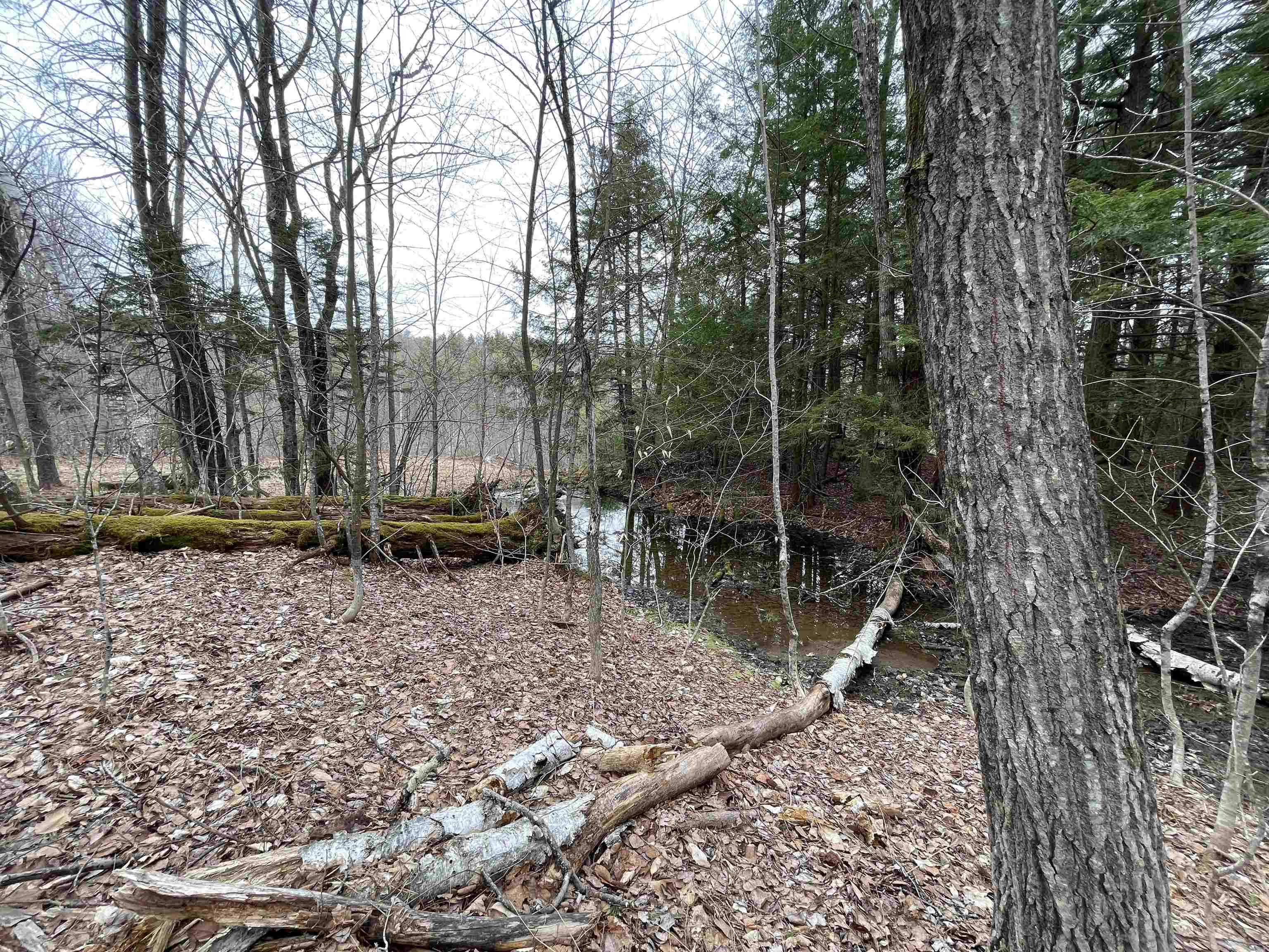 0 Turkey Shoot Road Acworth, NH 03601 - Photo 11 of 19
