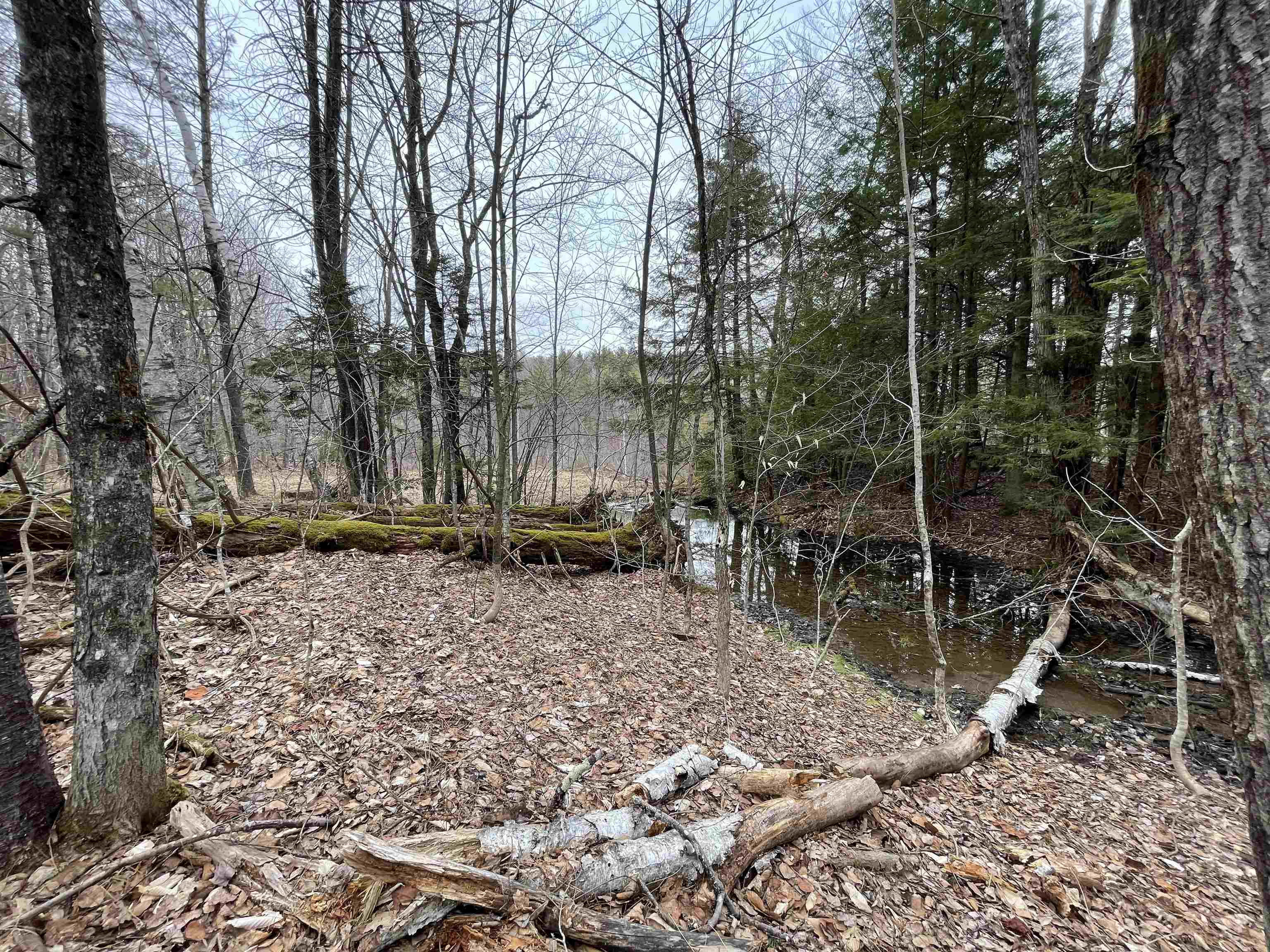 0 Turkey Shoot Road Acworth, NH 03601 - Photo 12 of 19