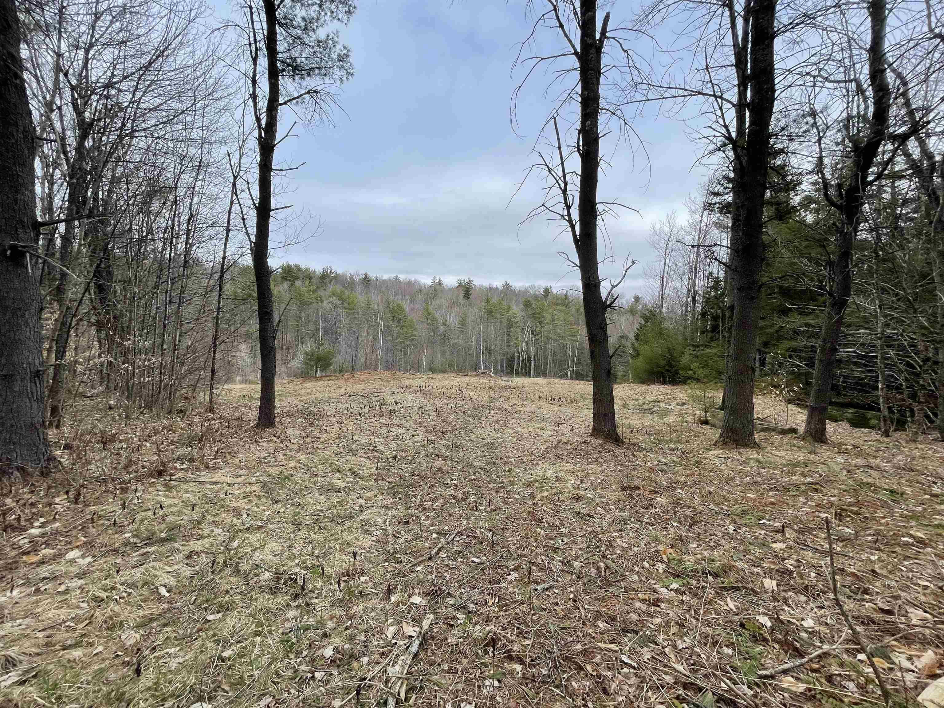 0 Turkey Shoot Road Acworth, NH 03601 - Photo 13 of 19
