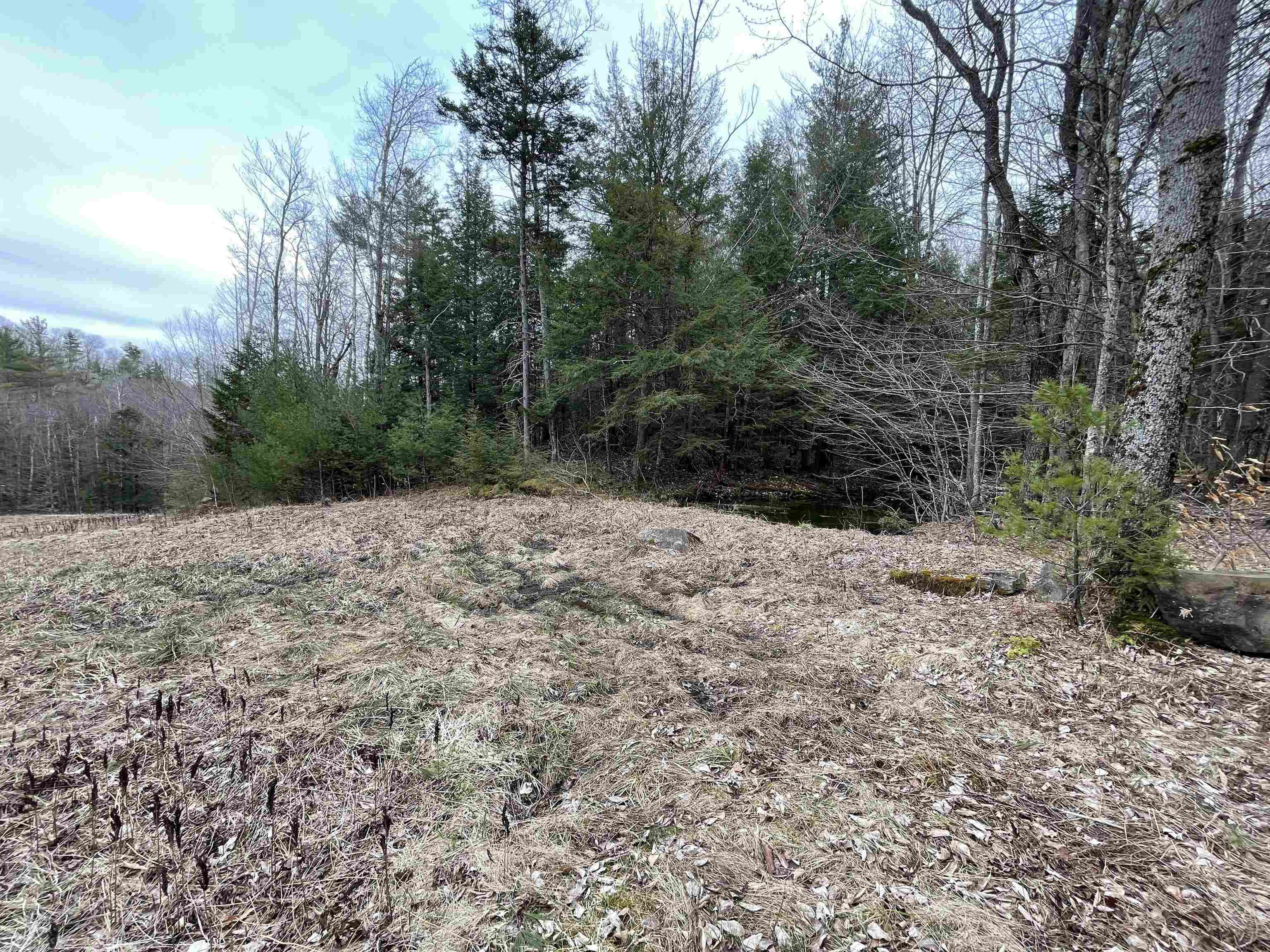 0 Turkey Shoot Road Acworth, NH 03601 - Photo 14 of 19