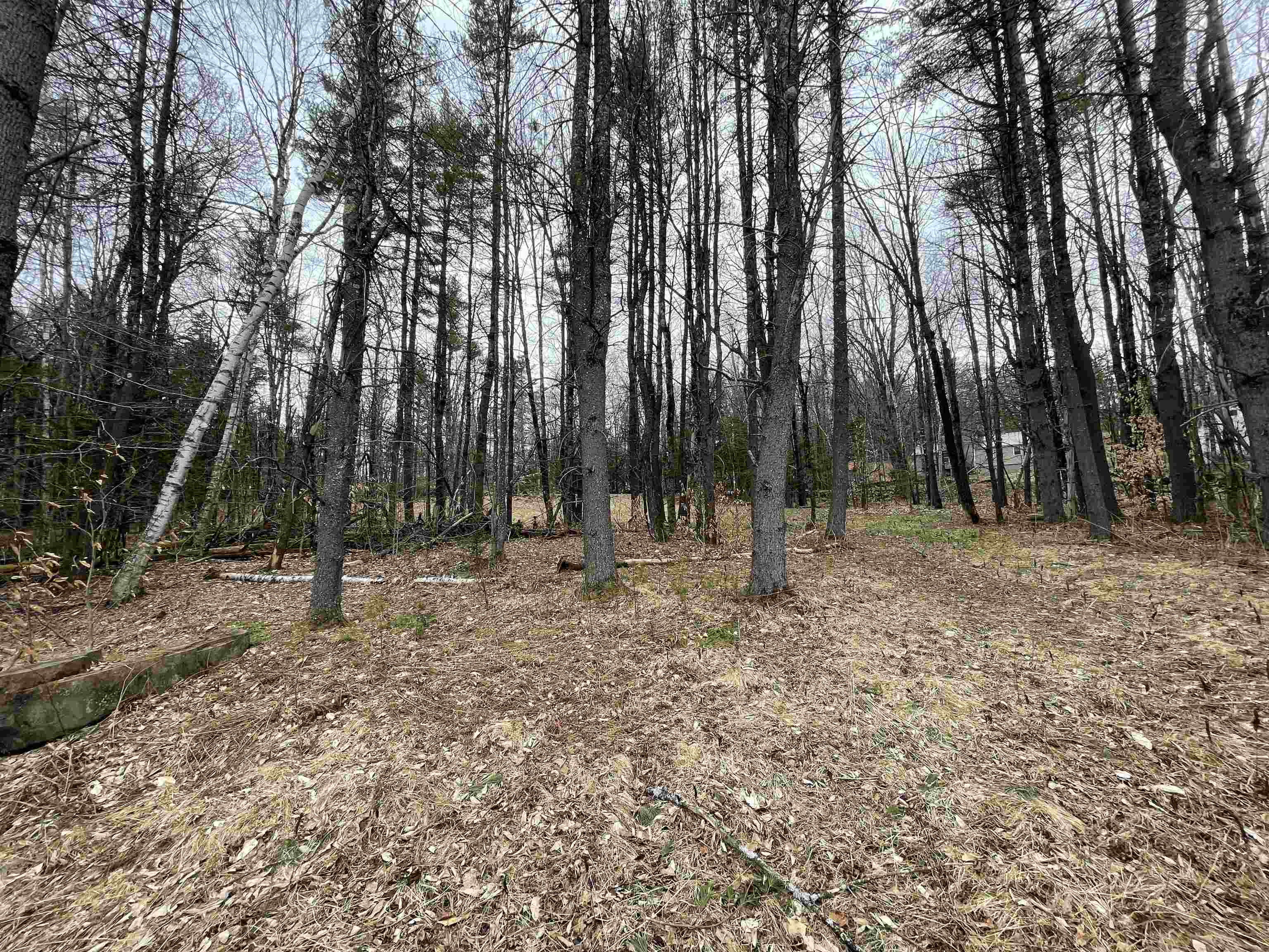 0 Turkey Shoot Road Acworth, NH 03601 - Photo 15 of 19