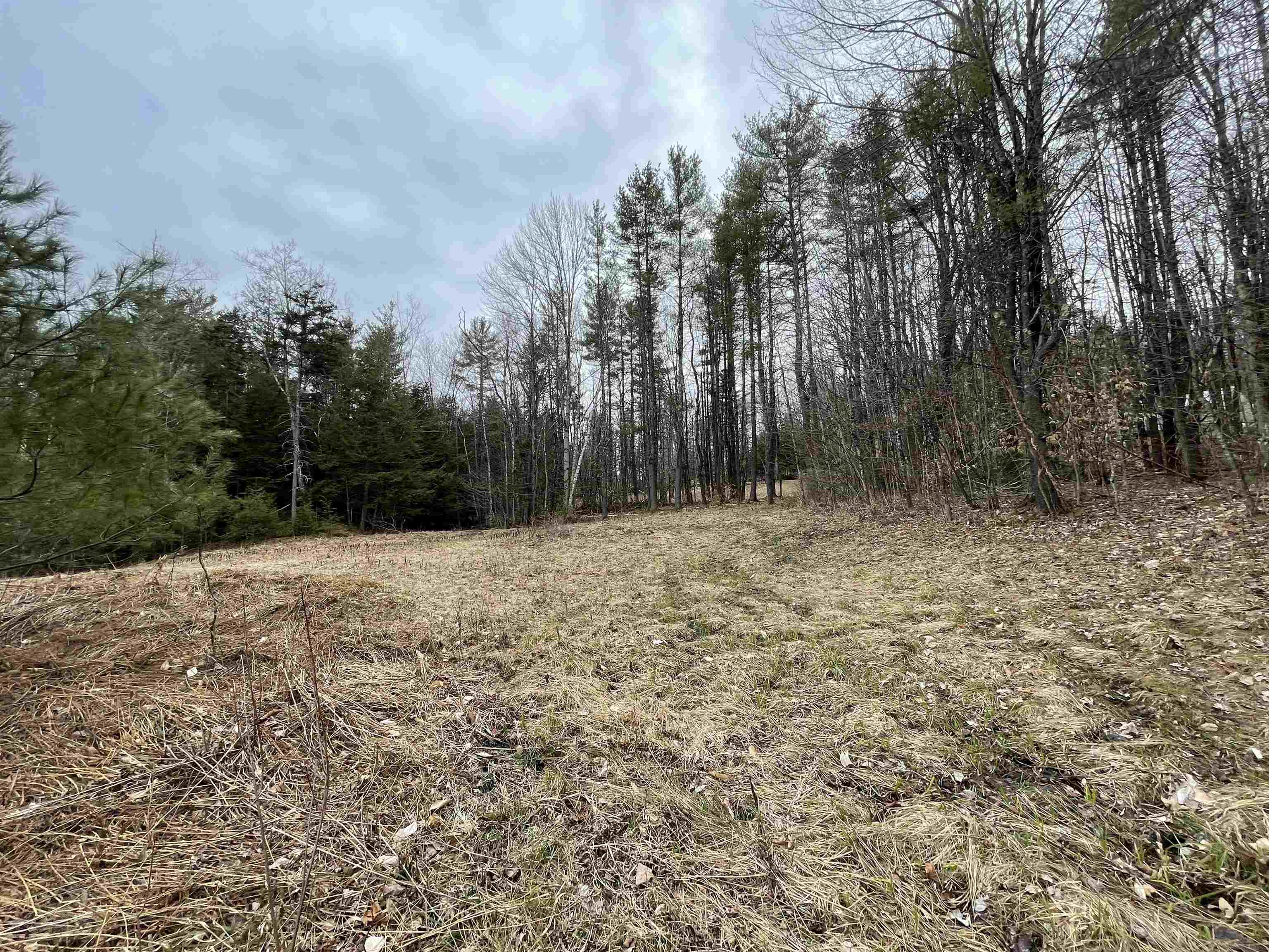 0 Turkey Shoot Road Acworth, NH 03601 - Photo 17 of 19