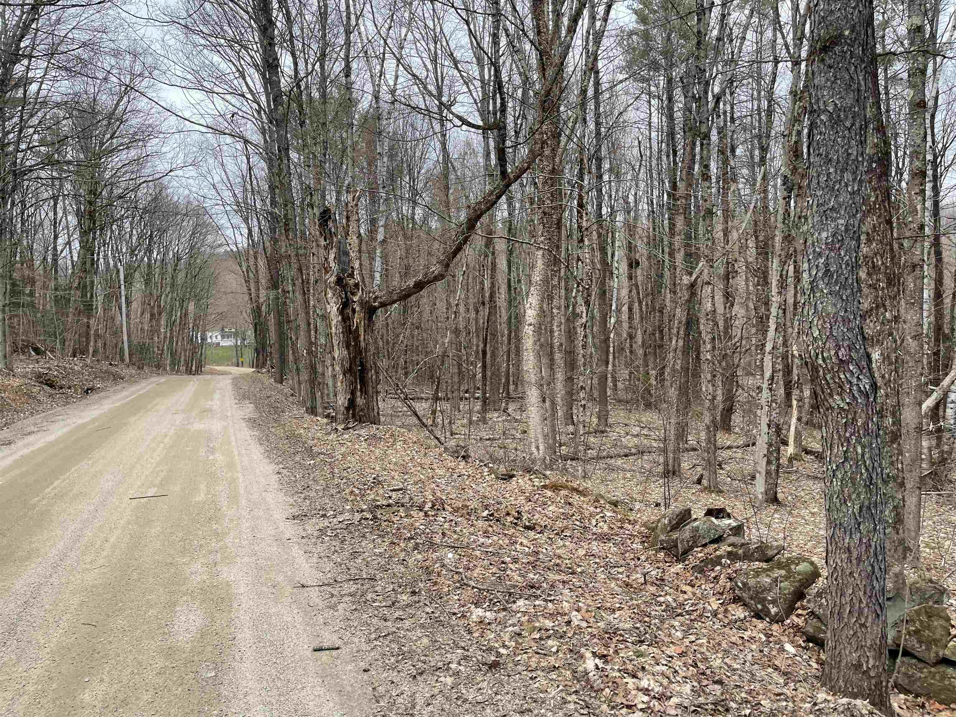 0 Turkey Shoot Road Acworth, NH 03601 - Photo 19 of 19