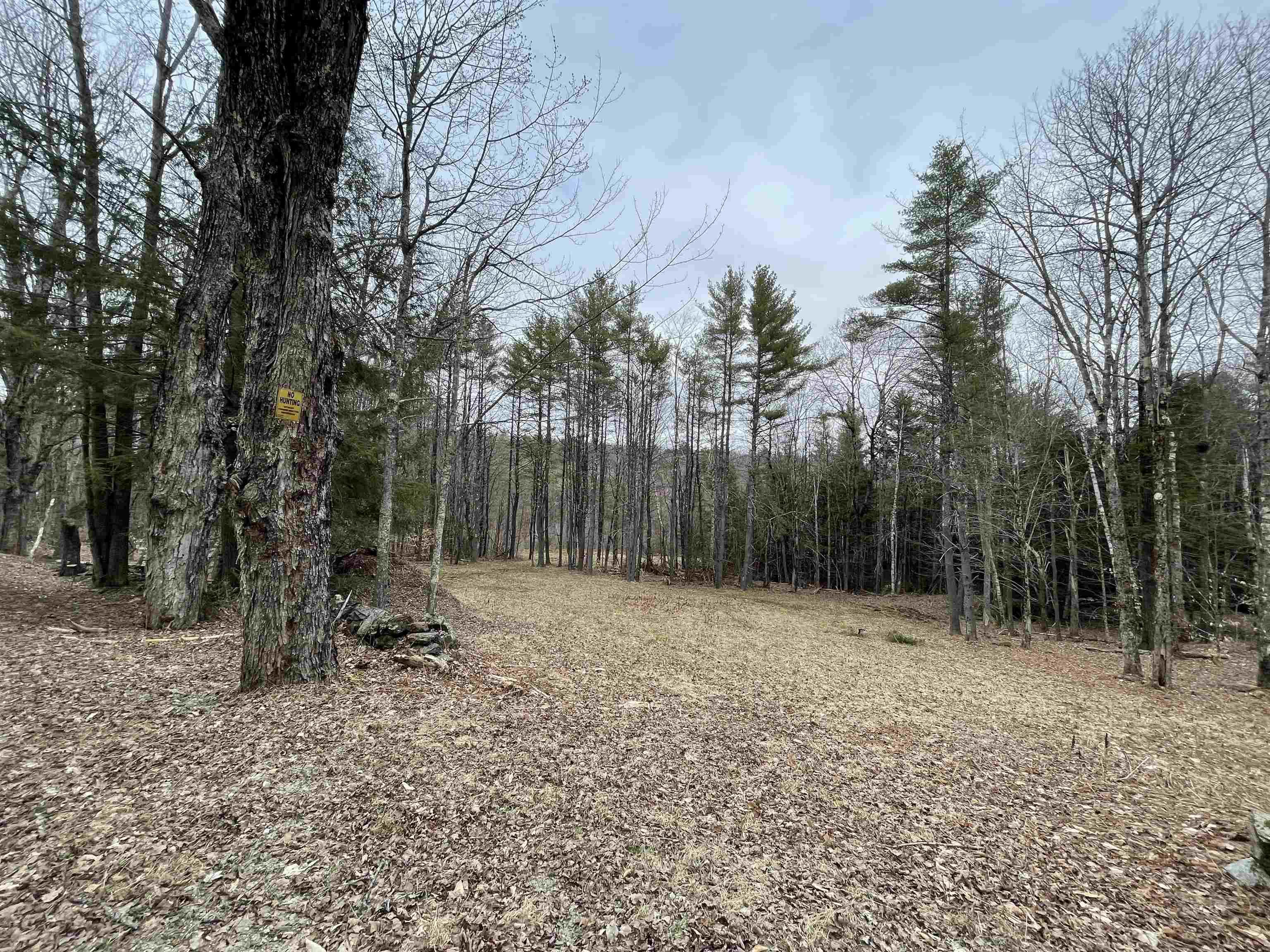 0 Turkey Shoot Road Acworth, NH 03601 - Photo 2 of 19