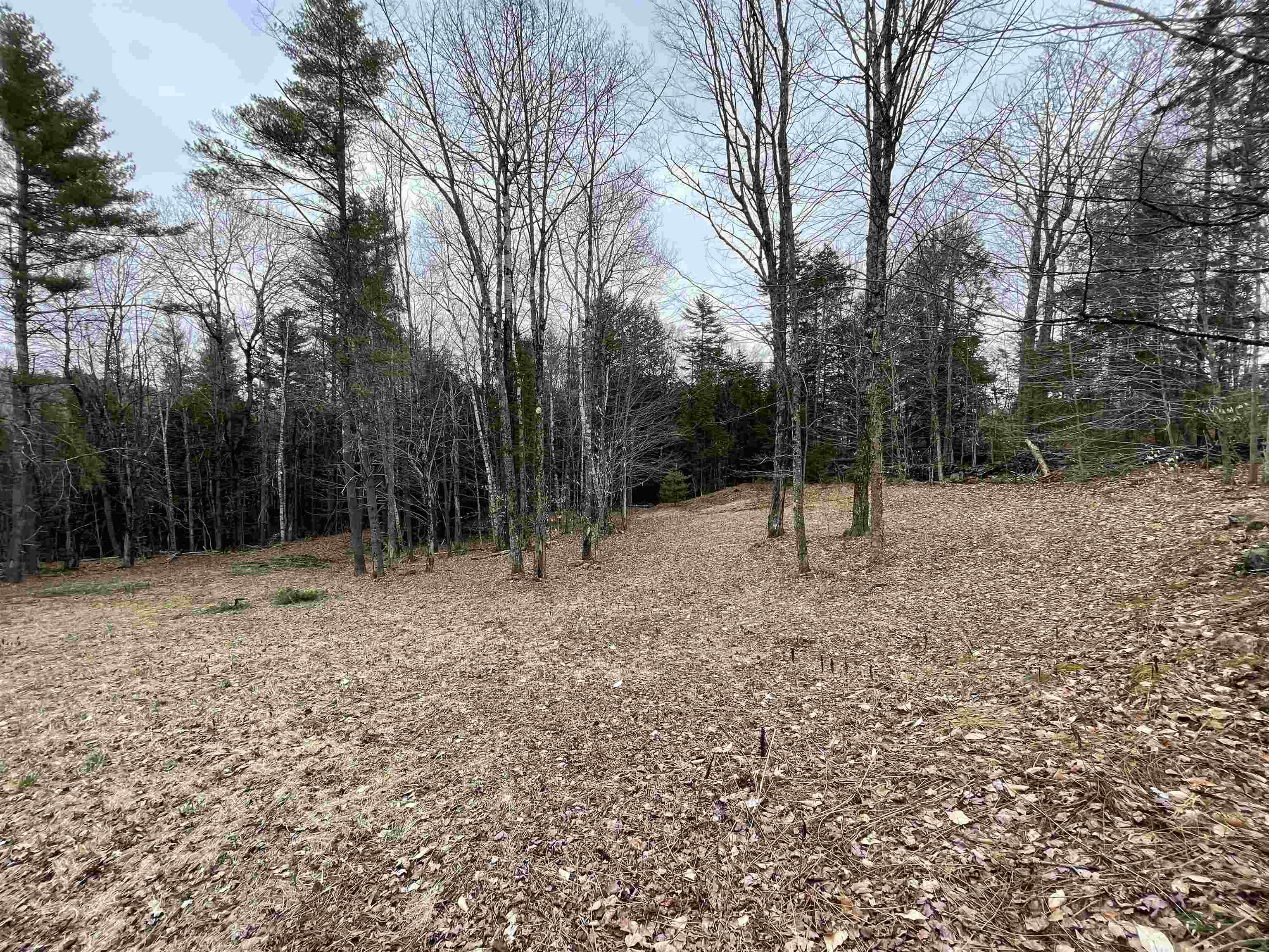 0 Turkey Shoot Road Acworth, NH 03601 - Photo 3 of 19