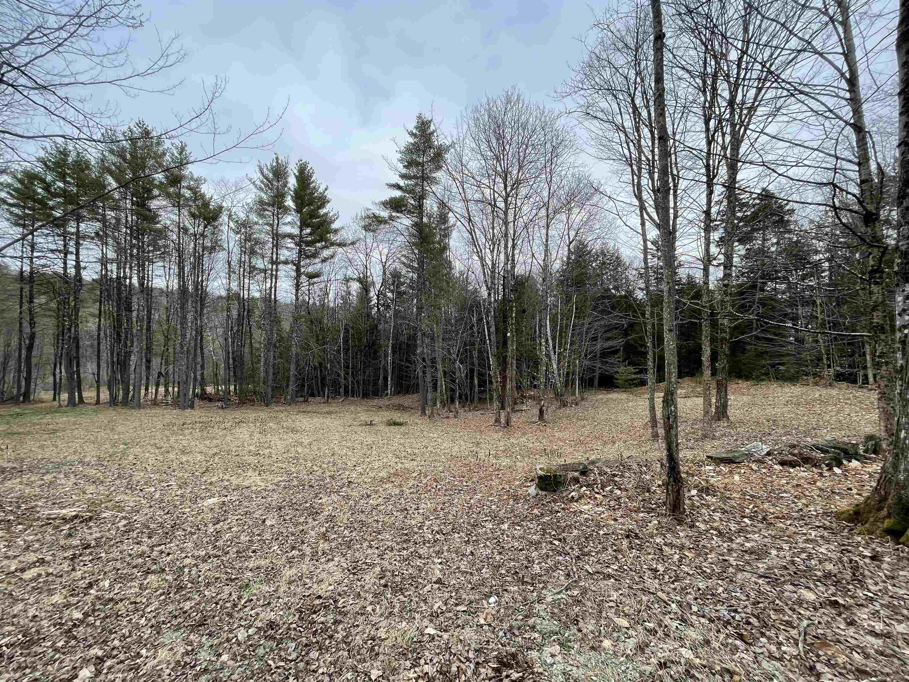 0 Turkey Shoot Road Acworth, NH 03601 - Photo 4 of 19