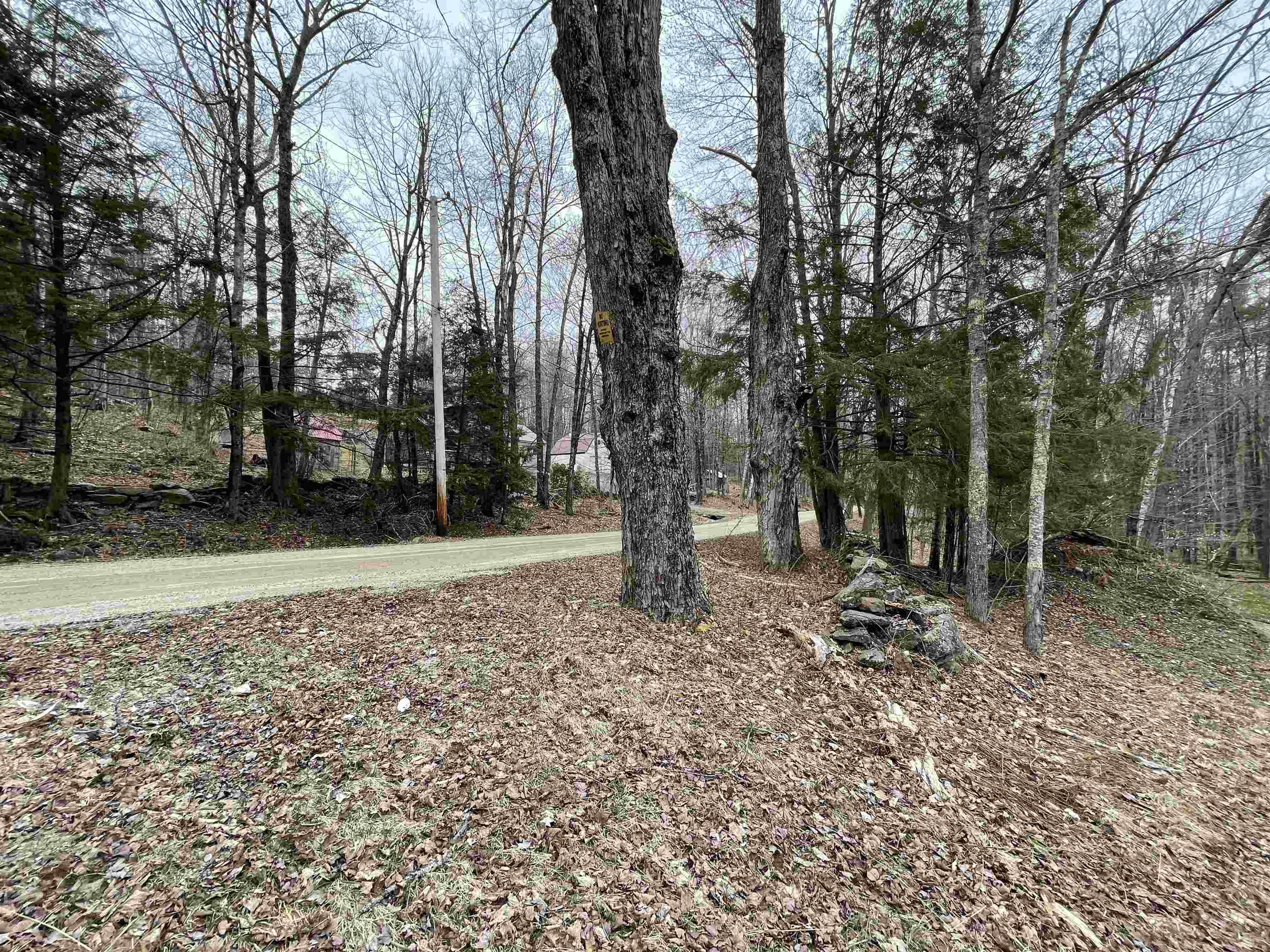 0 Turkey Shoot Road Acworth, NH 03601 - Photo 5 of 19