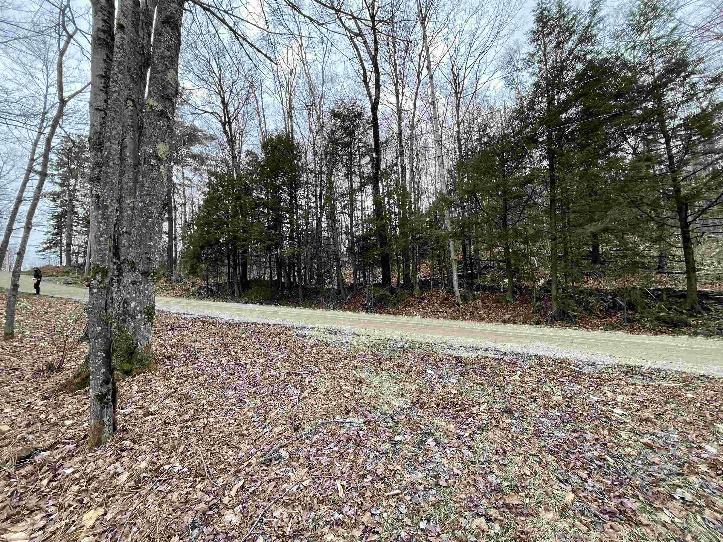 0 Turkey Shoot Road Acworth, NH 03601 - Photo 6 of 19