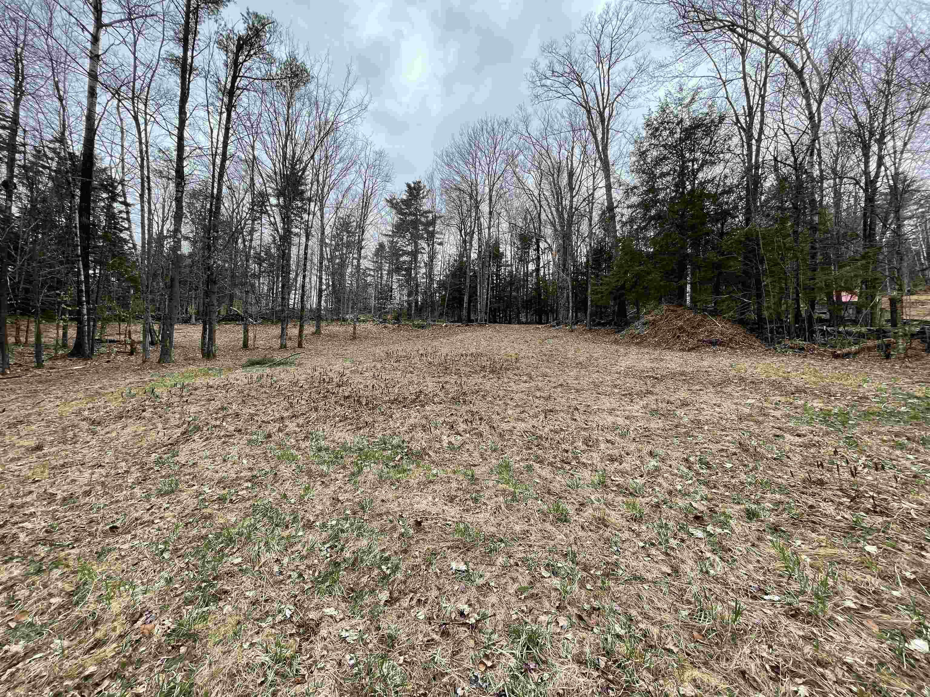 0 Turkey Shoot Road Acworth, NH 03601 - Photo 8 of 19