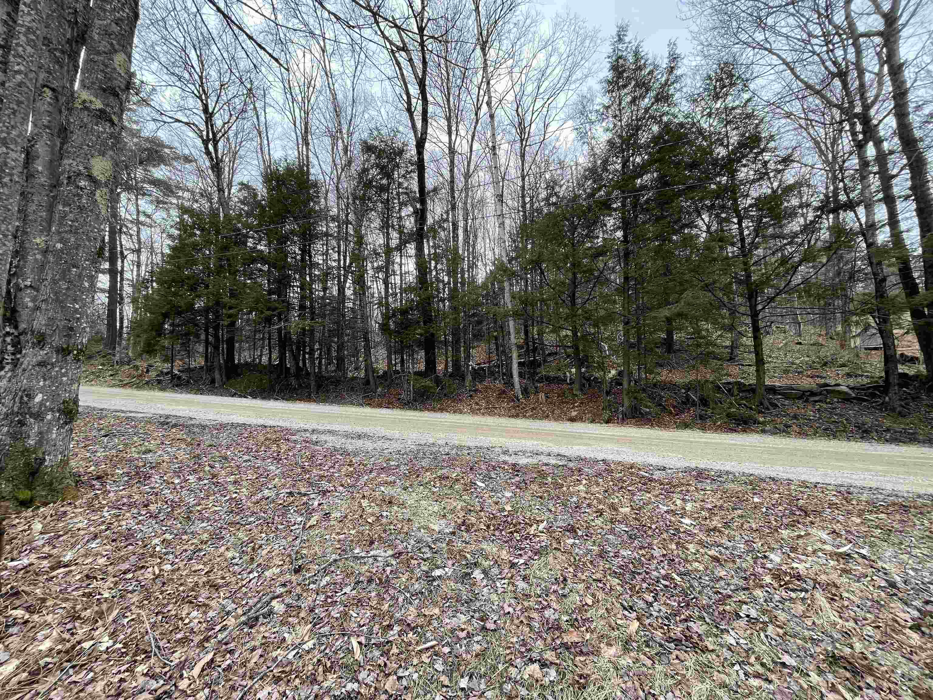 0 Turkey Shoot Road Acworth, NH 03601 - Photo 10 of 19