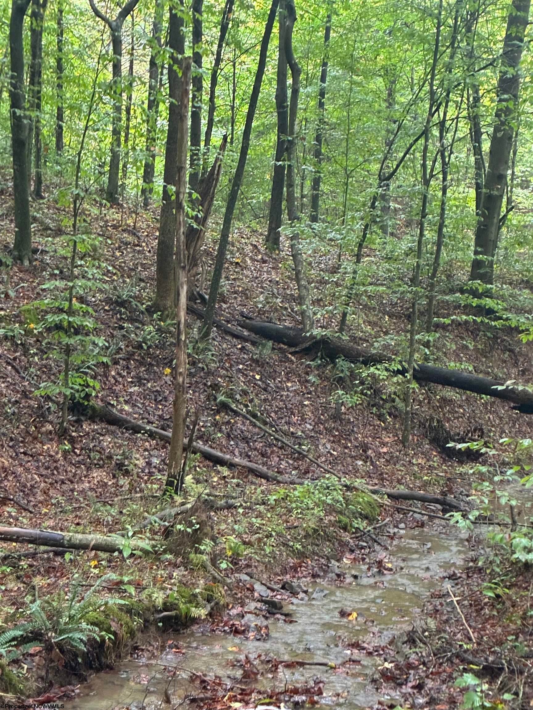 5150 Indian Road Salem, WV 26426 - Photo 8 of 38 Gallery Image 8