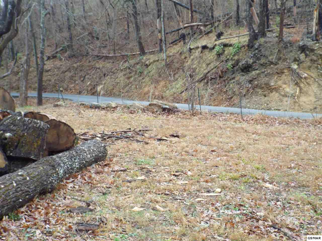 0 Loop Road Gatlinburg, TN 37738 - Photo 3 of 9