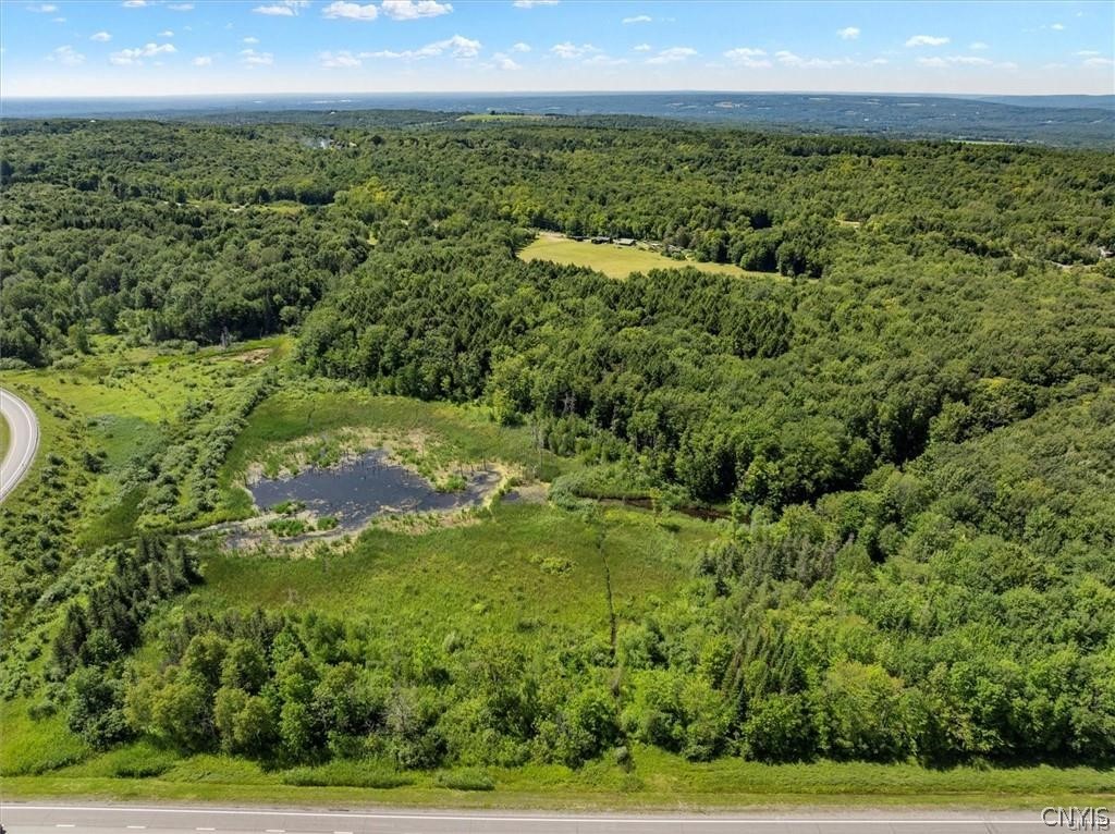 0 Trenton Road Deerfield, NY 13502 - Photo 7 of 24