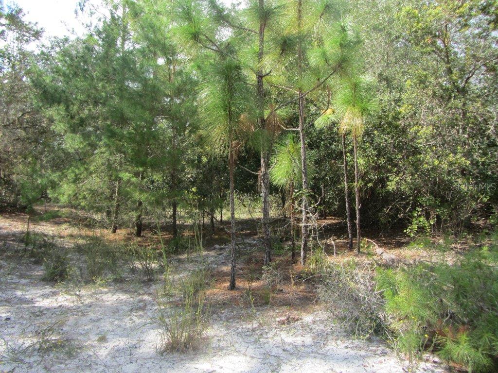 North Hart Road Geneva, FL 32732 - Photo 1 of 1 Gallery Image 1