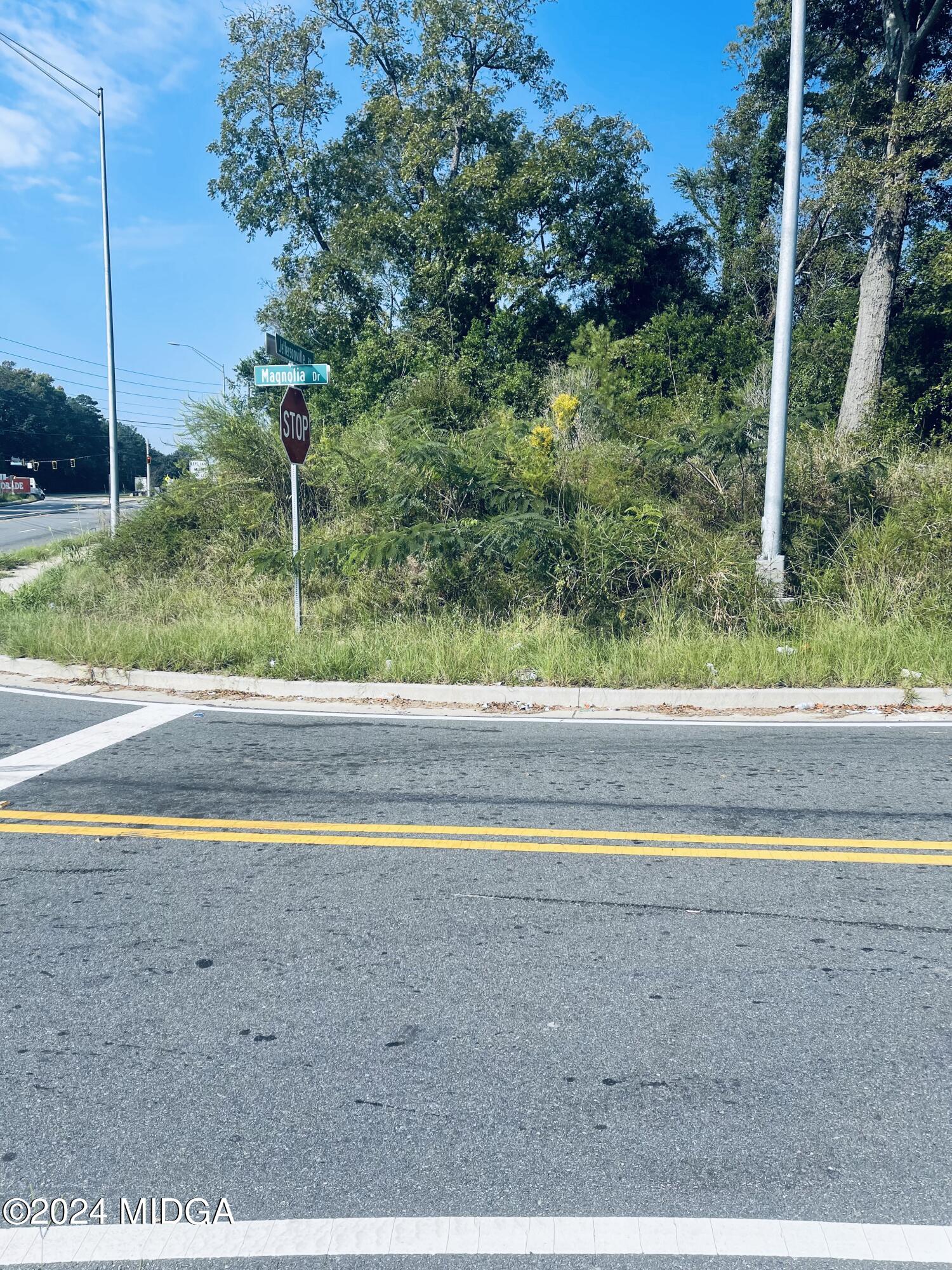 1336 Jeffersonville Road Macon, GA 31217 - Photo 2 of 6 a view of a yard