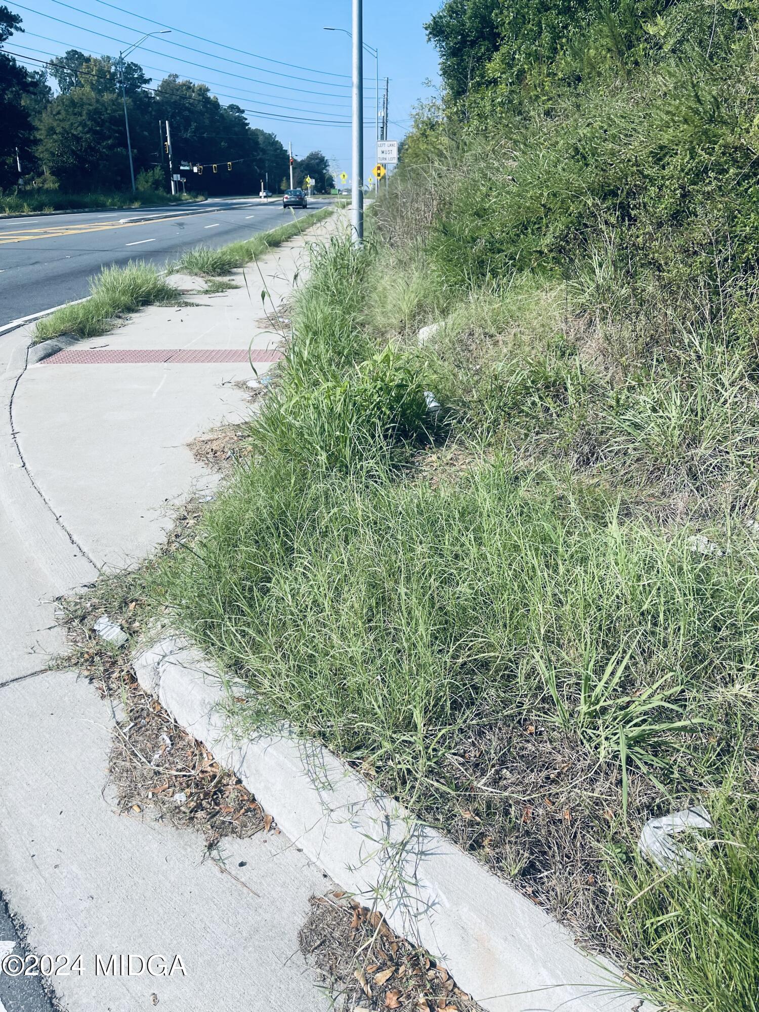 1336 Jeffersonville Road Macon, GA 31217 - Photo 3 of 6 a view of a yard with pathway