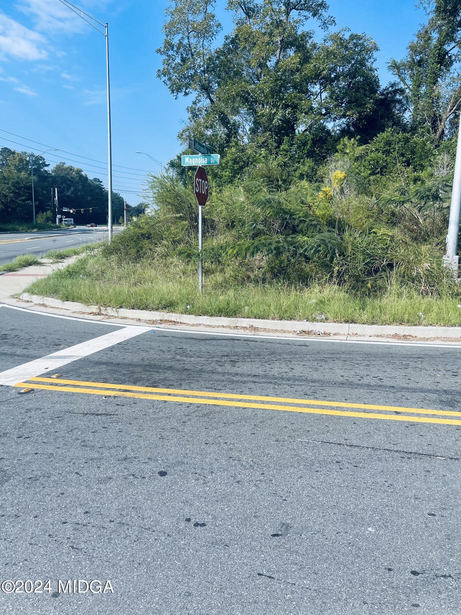 1336 Jeffersonville Road Macon, GA 31217 - Photo 4 of 6 a view of a swimming pool with a yard and trees