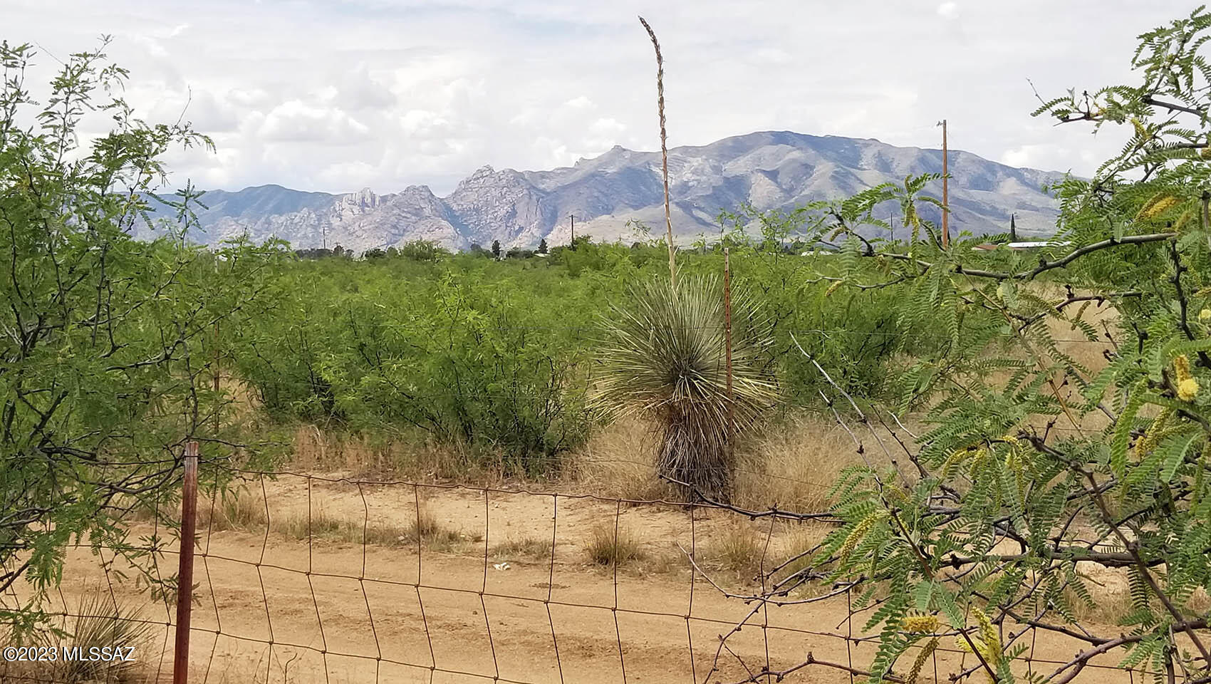 East Richland Road Cochise, AZ 85606 - Photo 3 of 12