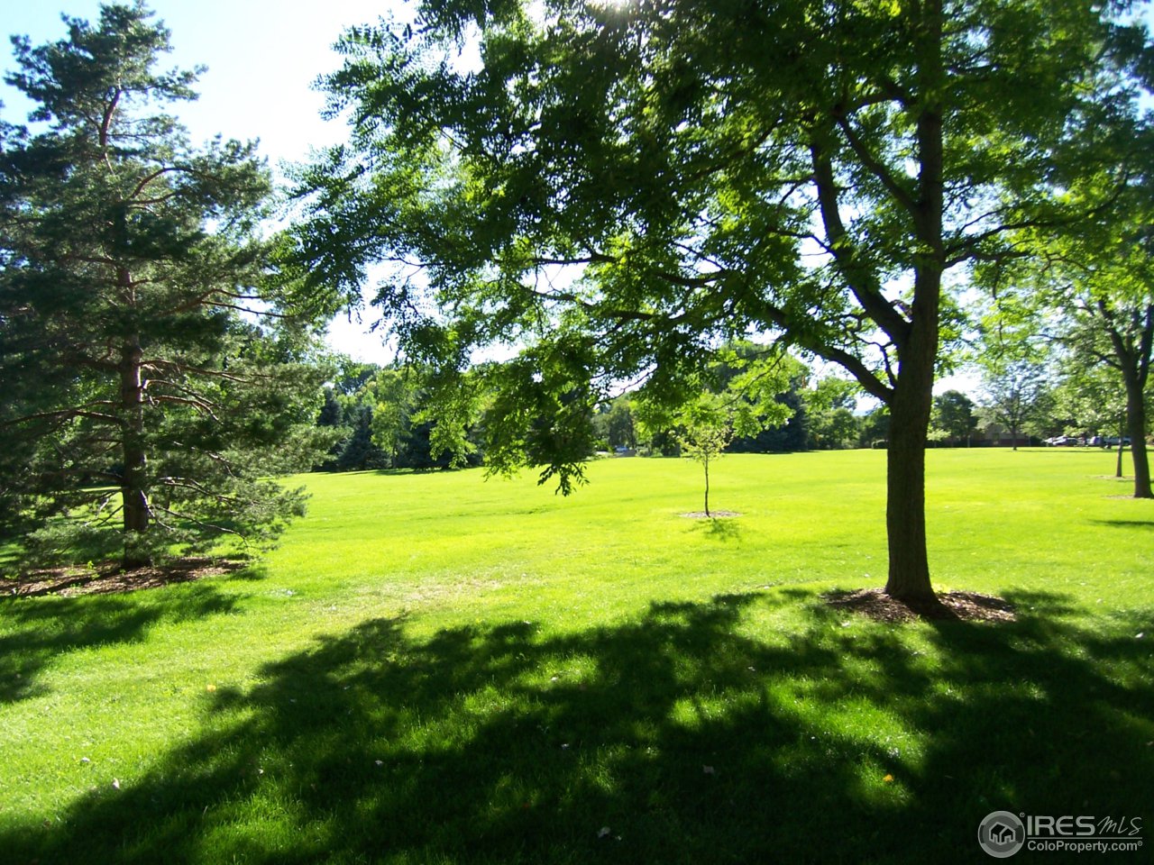 1413-1415 Edora Road Fort Collins, CO 80525 - Photo 8 of 12 Gallery Image 8
