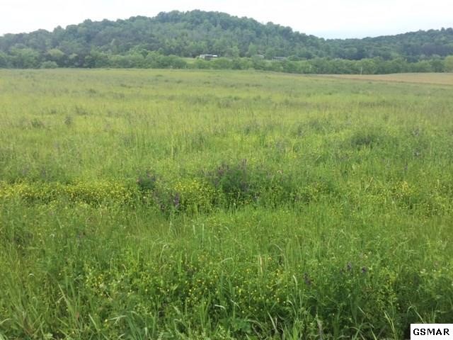 1924 Camellia Road Newport, TN 37821 - Photo 2 of 4 Gallery Image 2