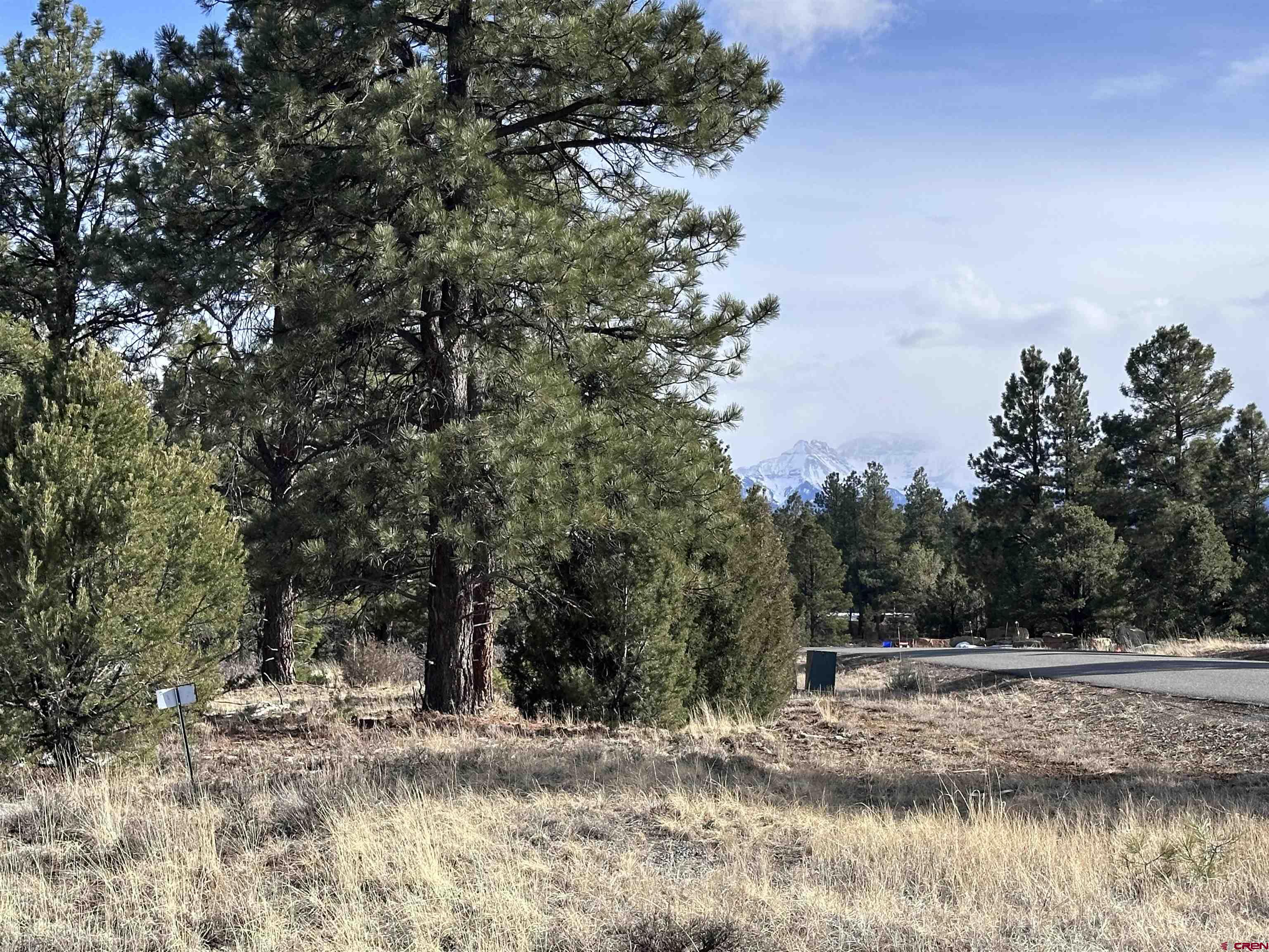 1960 Marmot Drive Ridgway, CO 81432 - Photo 1 of 12 a view of lake with tree