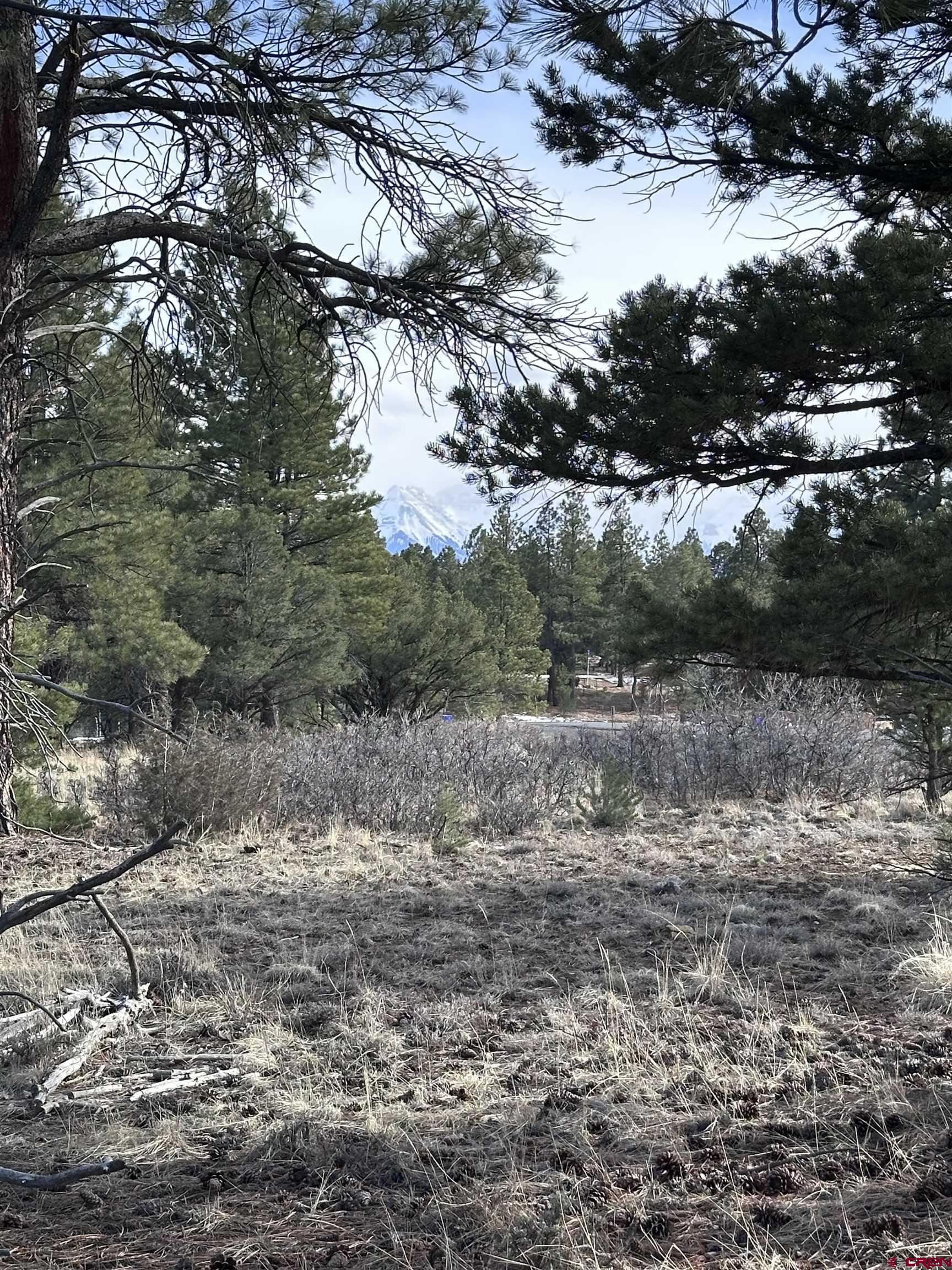 1960 Marmot Drive Ridgway, CO 81432 - Photo 11 of 12 a view of a yard with plants and a tree