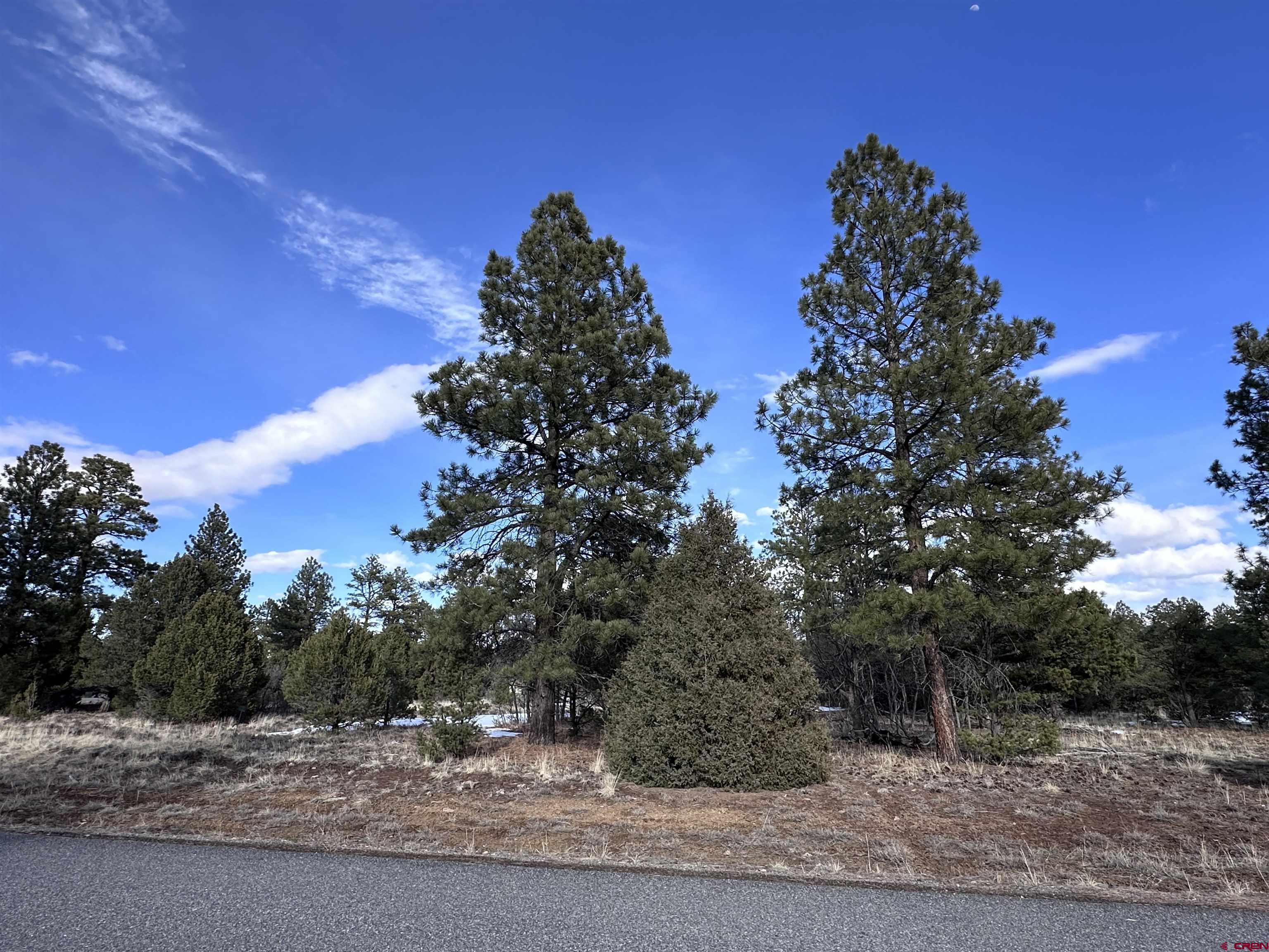 1960 Marmot Drive Ridgway, CO 81432 - Photo 12 of 12 a view of a yard
