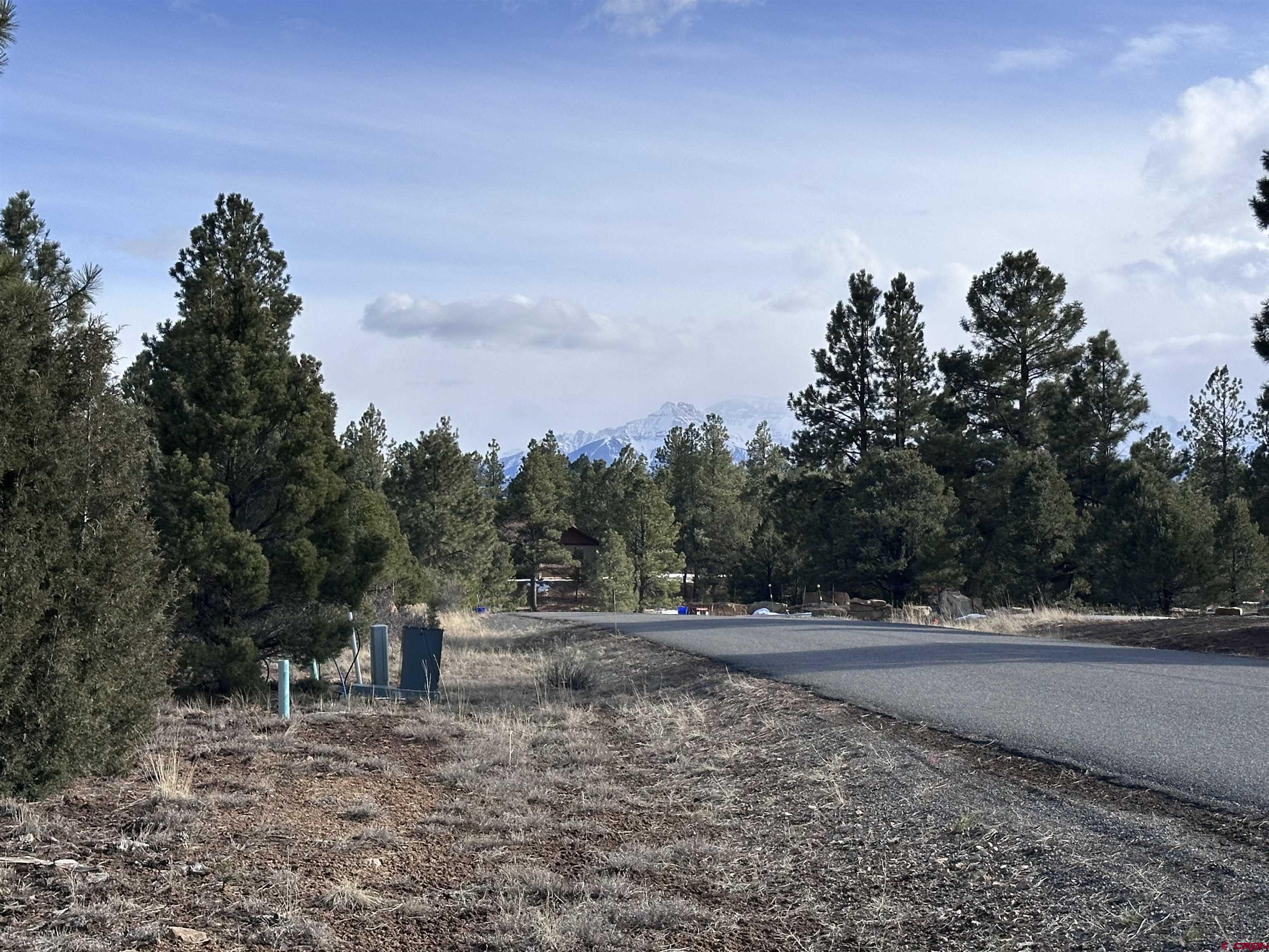 1960 Marmot Drive Ridgway, CO 81432 - Photo 2 of 12 a view of street view with trees