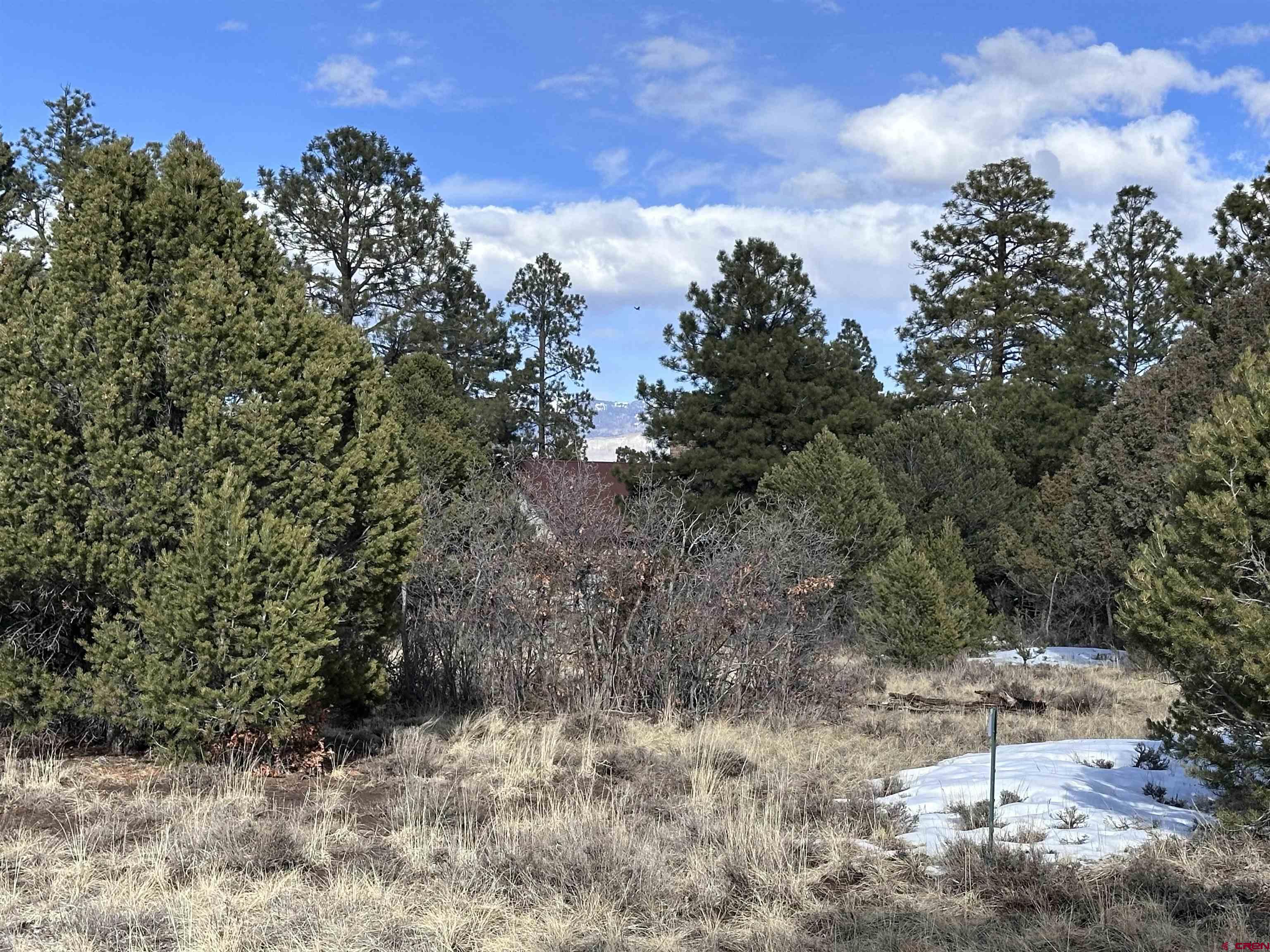 1960 Marmot Drive Ridgway, CO 81432 - Photo 3 of 12 a view of a large yard with lots of green space