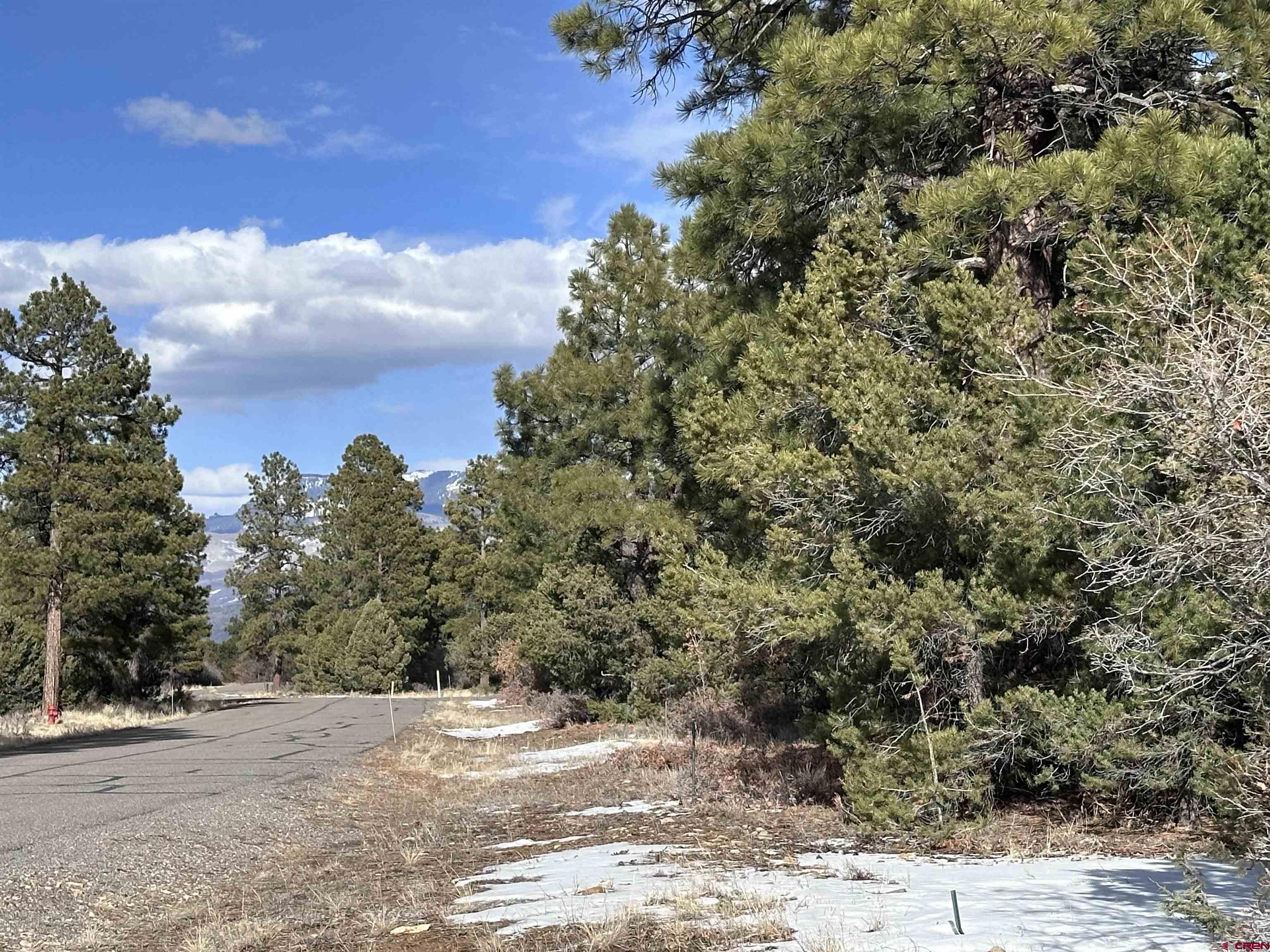 1960 Marmot Drive Ridgway, CO 81432 - Photo 6 of 12 a view of a backyard of a house
