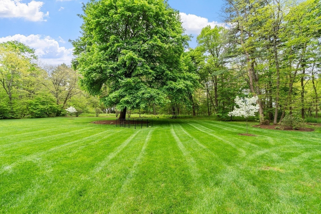 653 Main Street Concord, MA 01742 - Photo 40 of 42 a view of a backyard with a garden