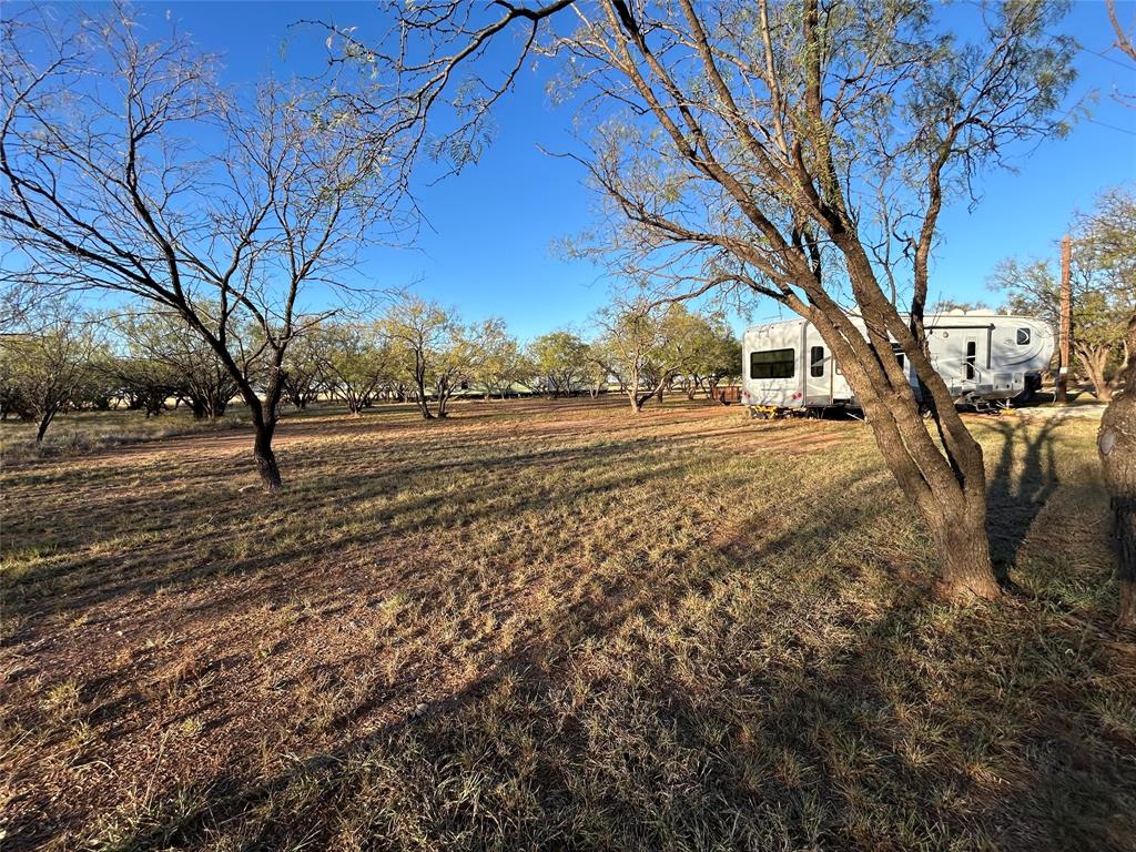 460 Mulberry Road Merkel, TX 79536 - Photo 6 of 8