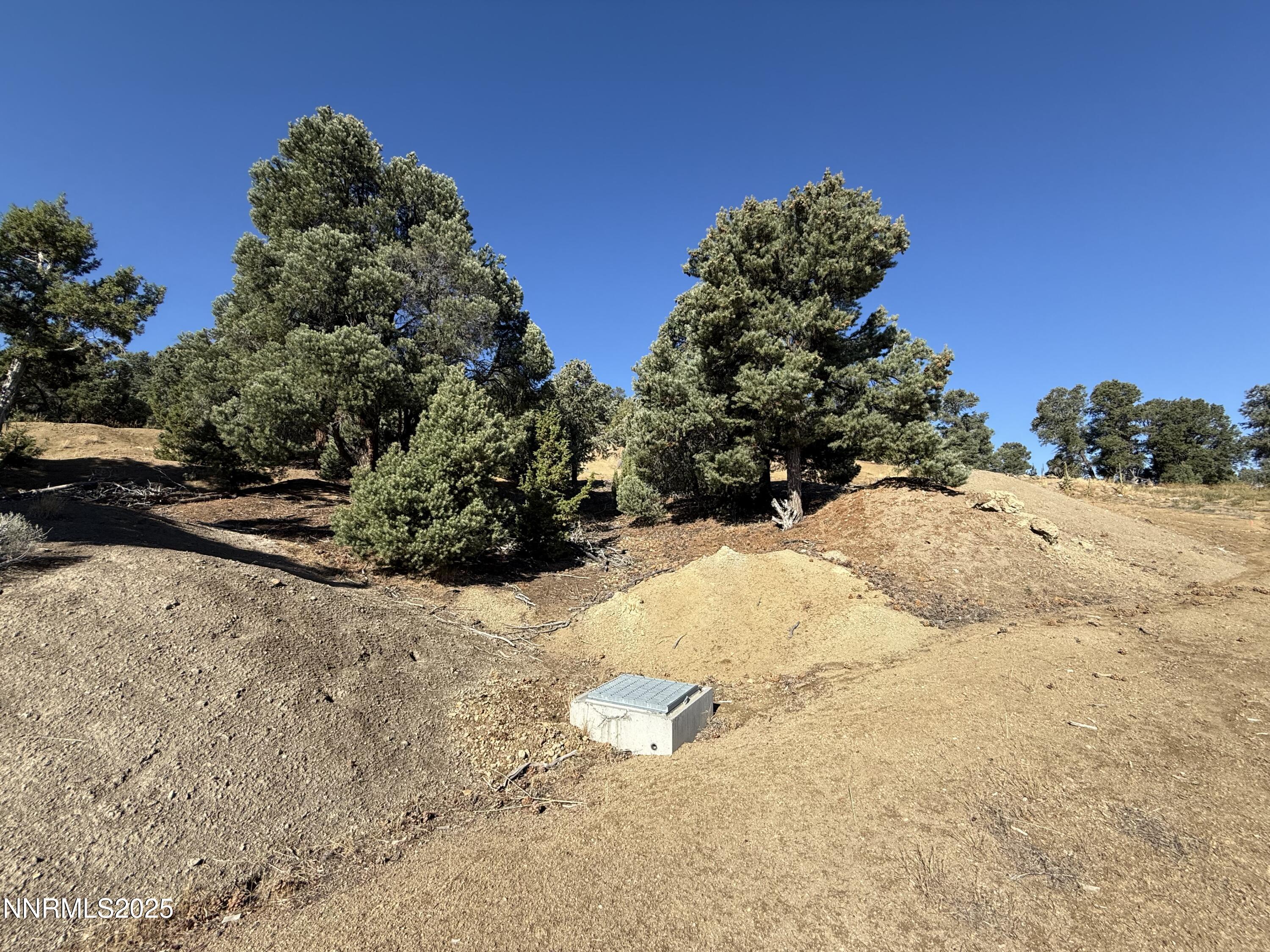 1940 Morgan Road Reno, NV 89521 - Photo 2 of 15 a view of a covered with snow in the background