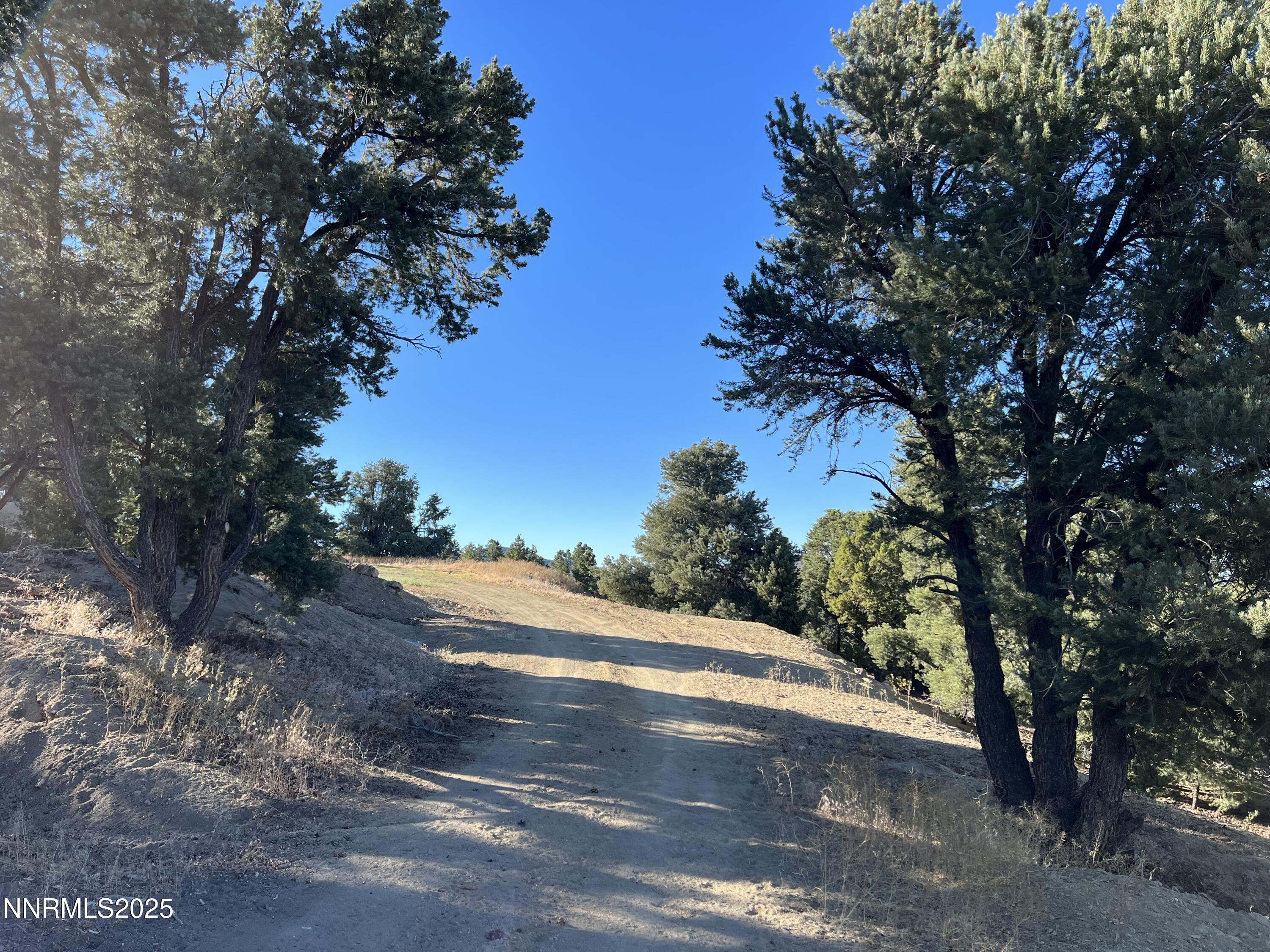 1940 Morgan Road Reno, NV 89521 - Photo 3 of 15 a view of a road with a trees