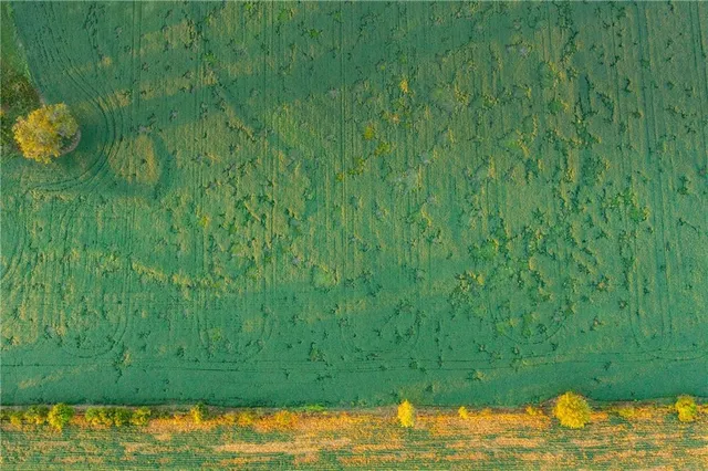 $608,000 | Southeast 401st Road, Leeton, MO 64761