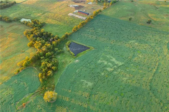 $608,000 | Southeast 401st Road, Leeton, MO 64761