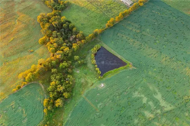 $608,000 | Southeast 401st Road, Leeton, MO 64761