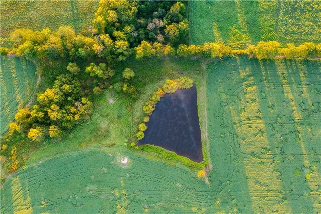 $608,000 | Southeast 401st Road, Leeton, MO 64761