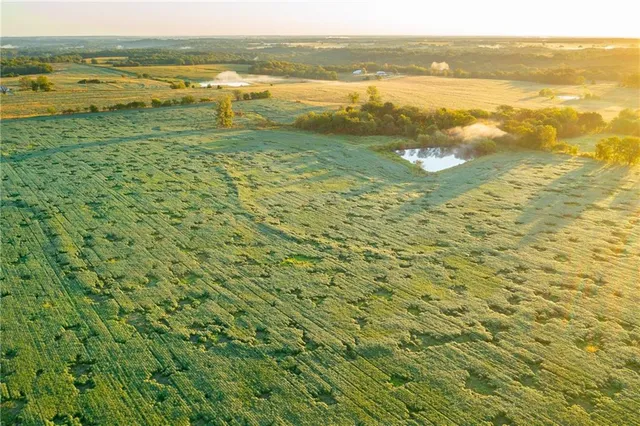 $608,000 | Southeast 401st Road, Leeton, MO 64761