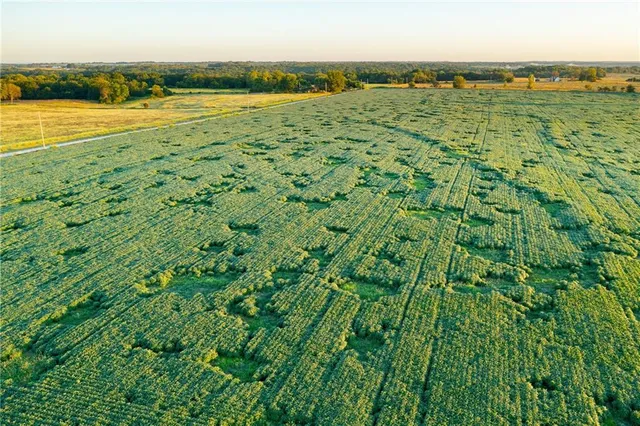 $608,000 | Southeast 401st Road, Leeton, MO 64761