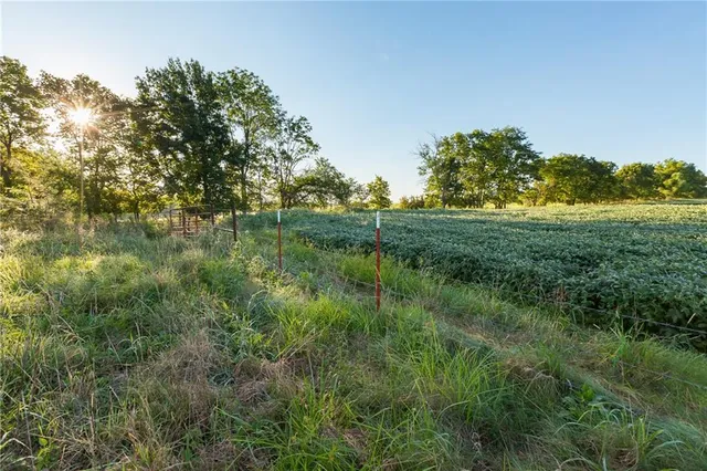 $608,000 | Southeast 401st Road, Leeton, MO 64761