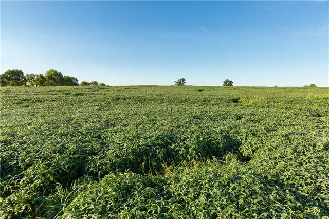 $608,000 | Southeast 401st Road, Leeton, MO 64761