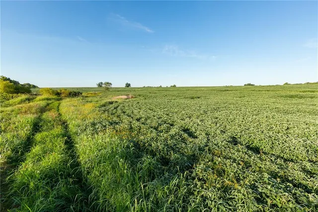 $608,000 | Southeast 401st Road, Leeton, MO 64761