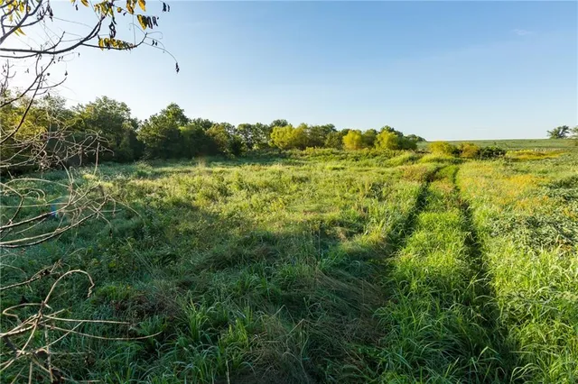 $608,000 | Southeast 401st Road, Leeton, MO 64761